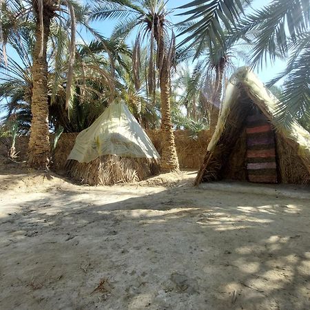 Forest Camp Siwa - كامب الغابة Siwa Oasis Esterno foto
