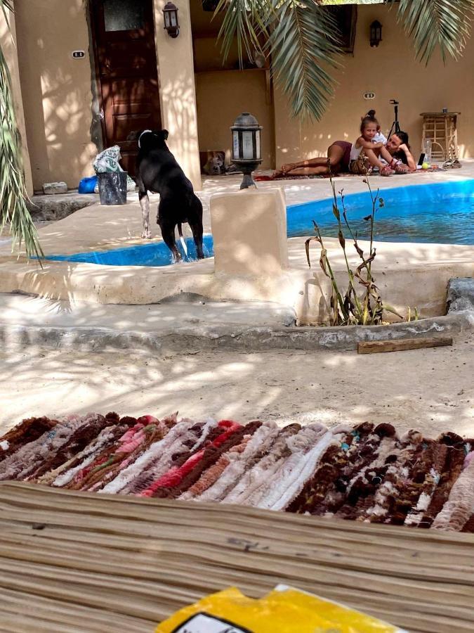 Forest Camp Siwa - كامب الغابة Siwa Oasis Esterno foto