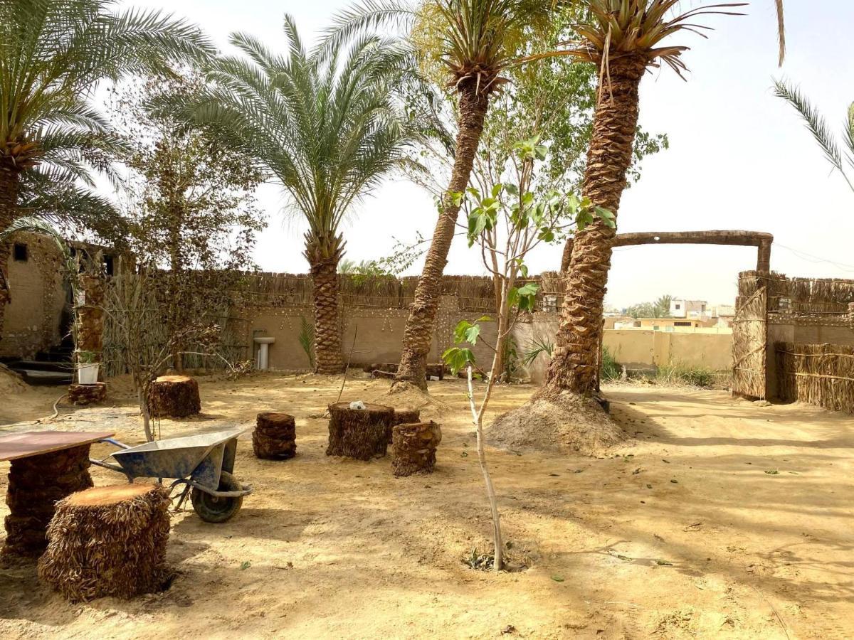 Forest Camp Siwa - كامب الغابة Siwa Oasis Esterno foto