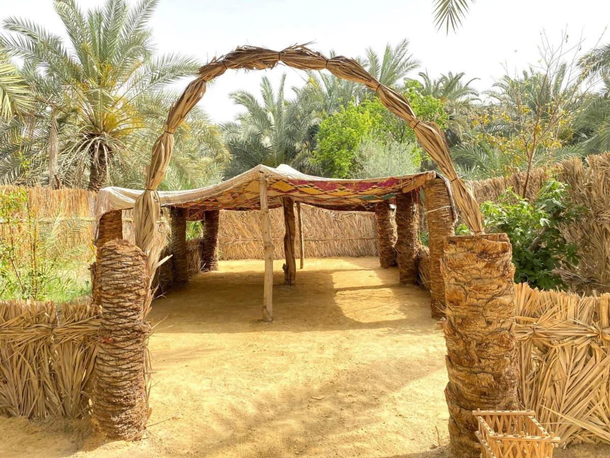 Forest Camp Siwa - كامب الغابة Siwa Oasis Esterno foto