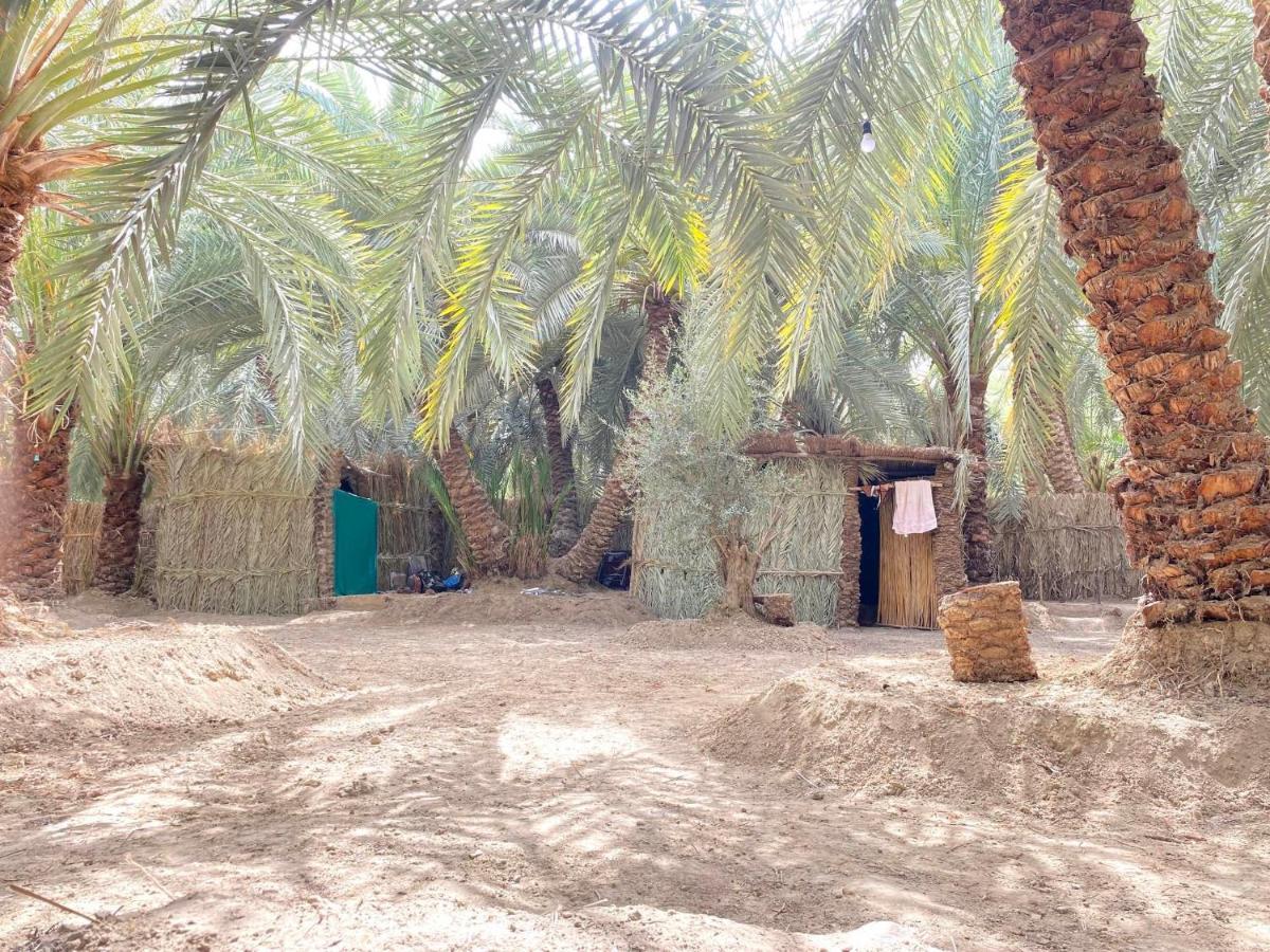 Forest Camp Siwa - كامب الغابة Siwa Oasis Esterno foto