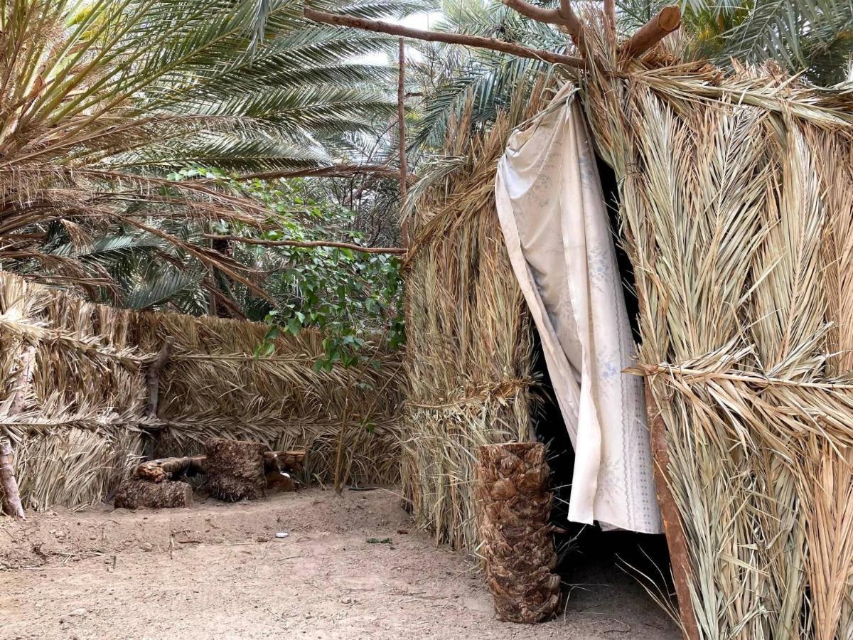 Forest Camp Siwa - كامب الغابة Siwa Oasis Esterno foto