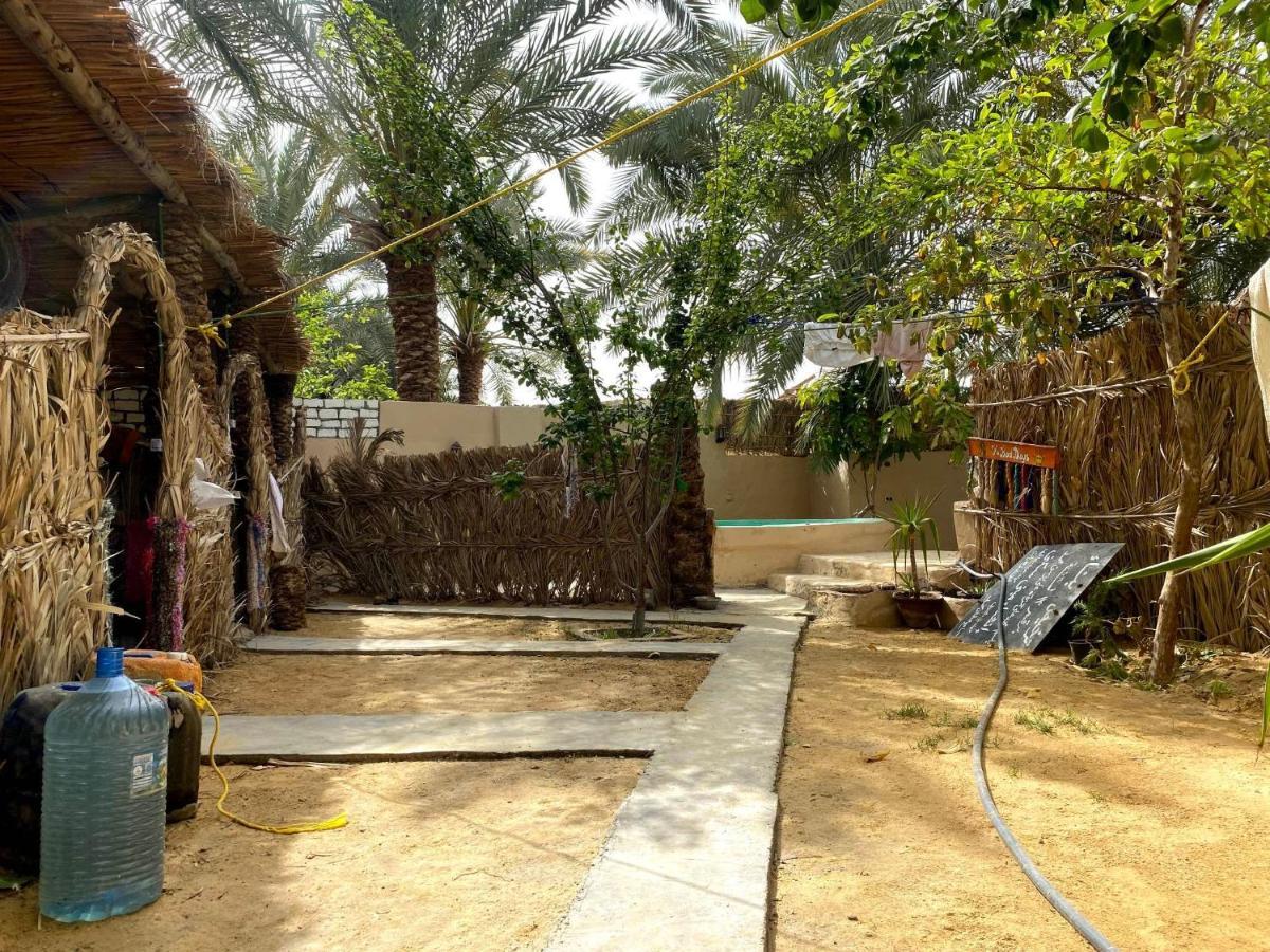 Forest Camp Siwa - كامب الغابة Siwa Oasis Esterno foto
