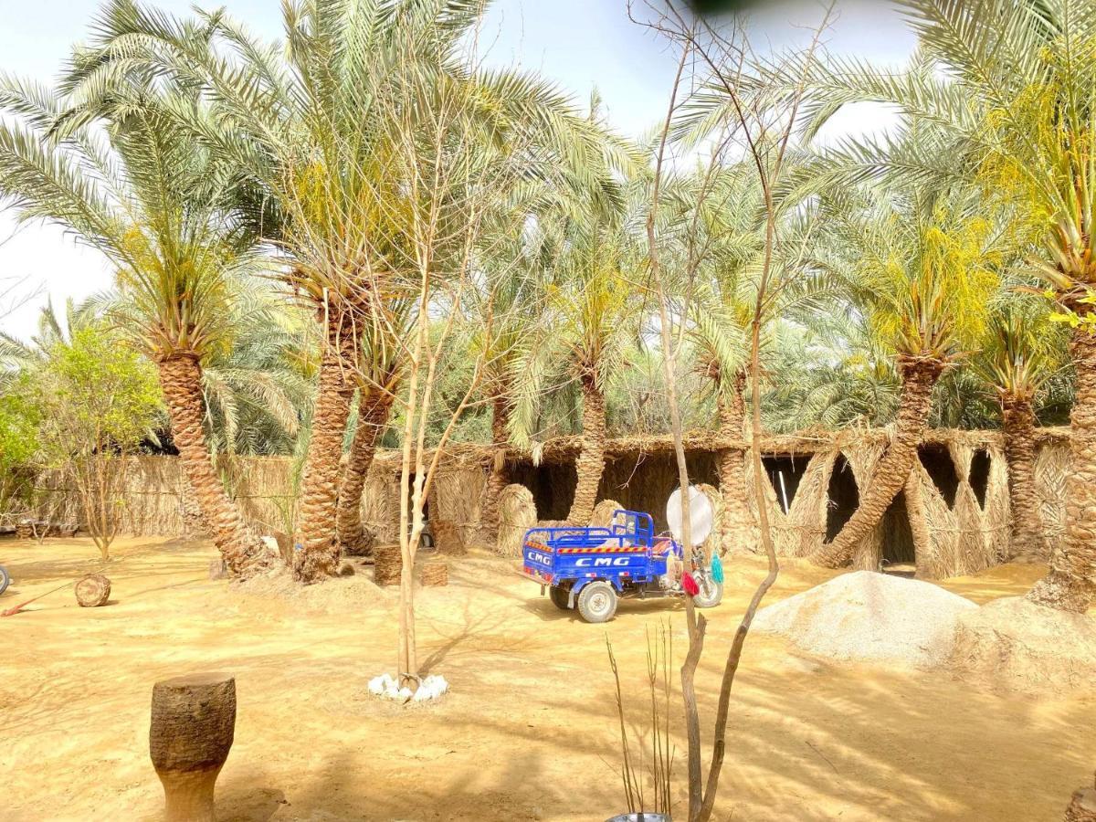 Forest Camp Siwa - كامب الغابة Siwa Oasis Esterno foto