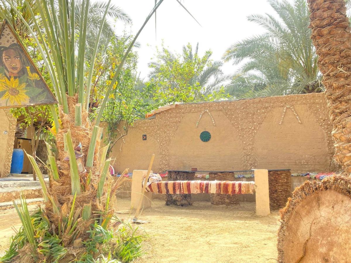 Forest Camp Siwa - كامب الغابة Siwa Oasis Esterno foto