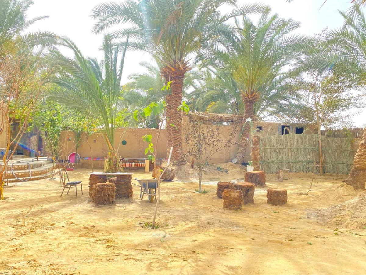 Forest Camp Siwa - كامب الغابة Siwa Oasis Esterno foto