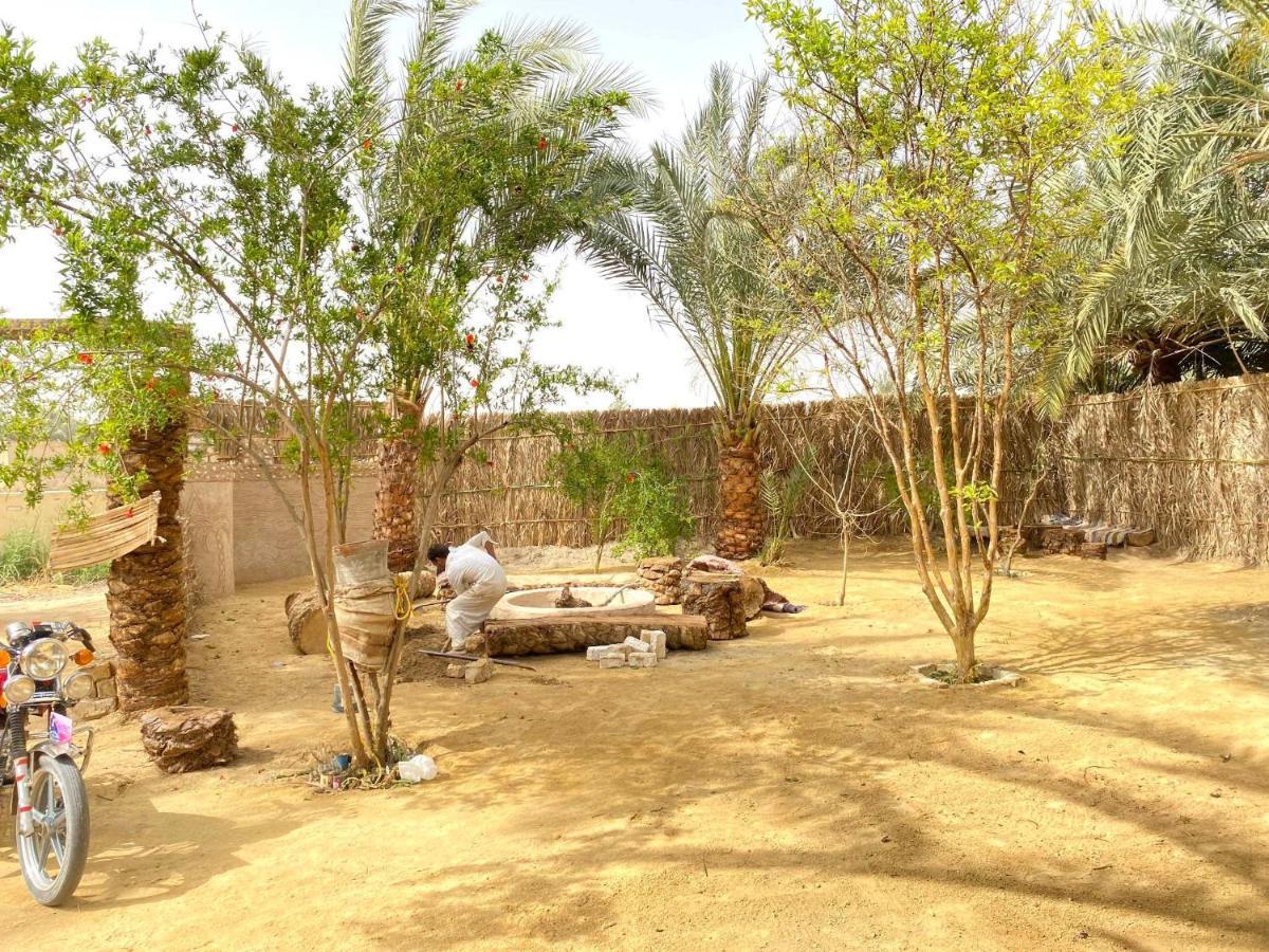 Forest Camp Siwa - كامب الغابة Siwa Oasis Esterno foto