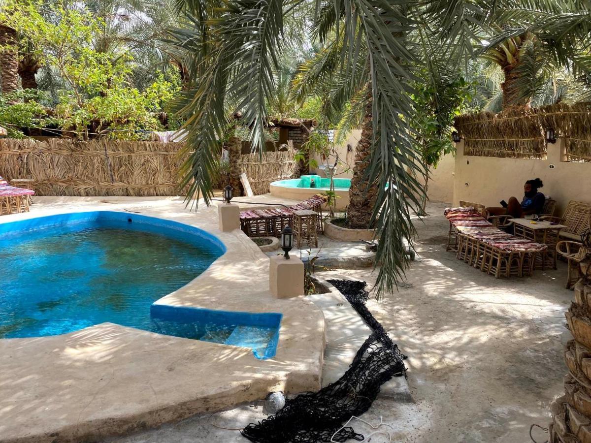 Forest Camp Siwa - كامب الغابة Siwa Oasis Esterno foto