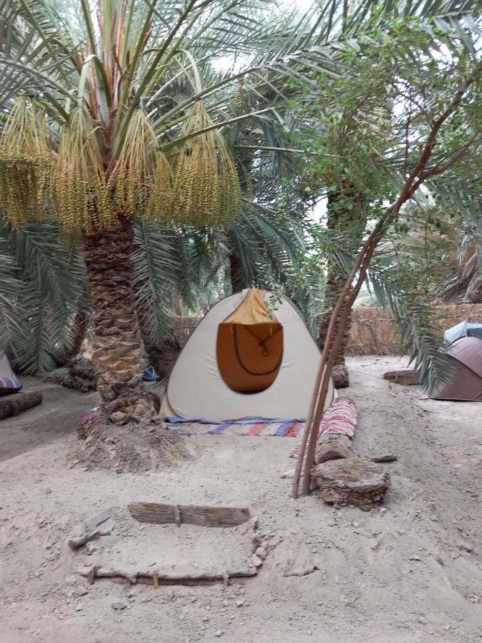 Forest Camp Siwa - كامب الغابة Siwa Oasis Esterno foto