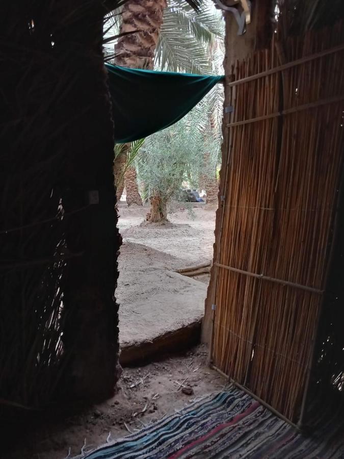 Forest Camp Siwa - كامب الغابة Siwa Oasis Esterno foto