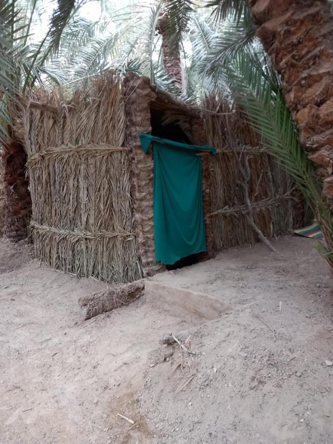 Forest Camp Siwa - كامب الغابة Siwa Oasis Esterno foto