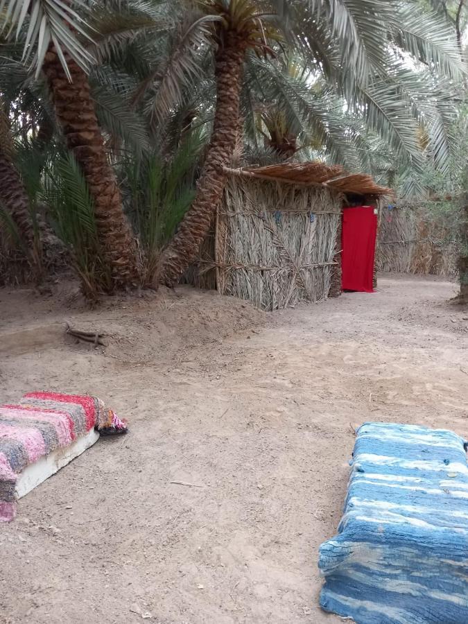 Forest Camp Siwa - كامب الغابة Siwa Oasis Esterno foto