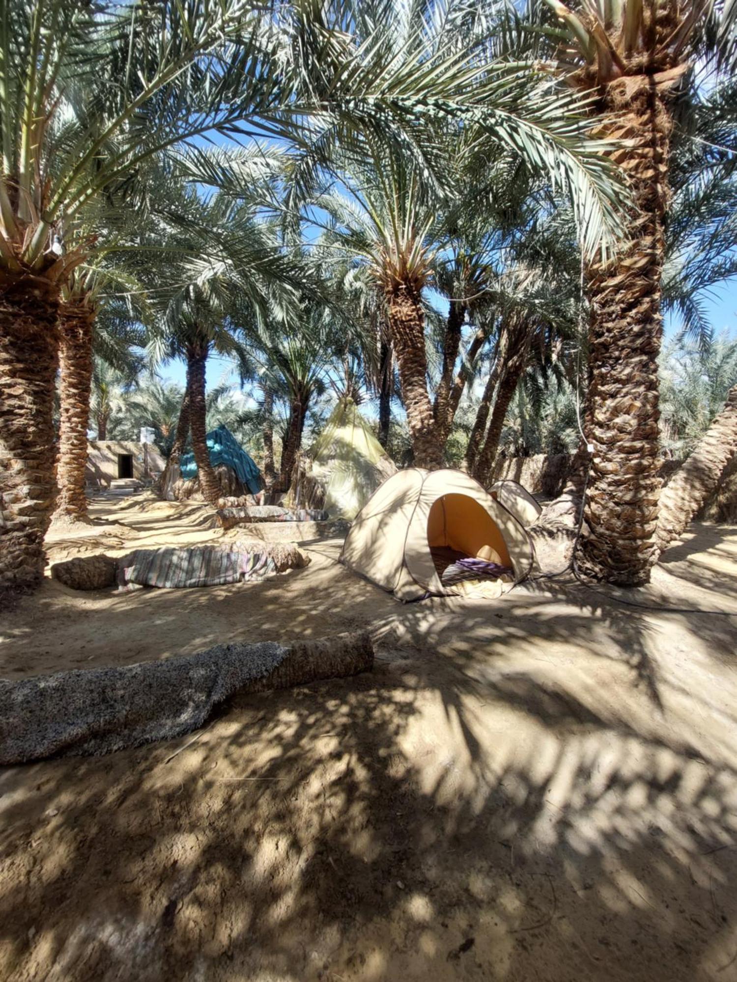 Forest Camp Siwa - كامب الغابة Siwa Oasis Esterno foto