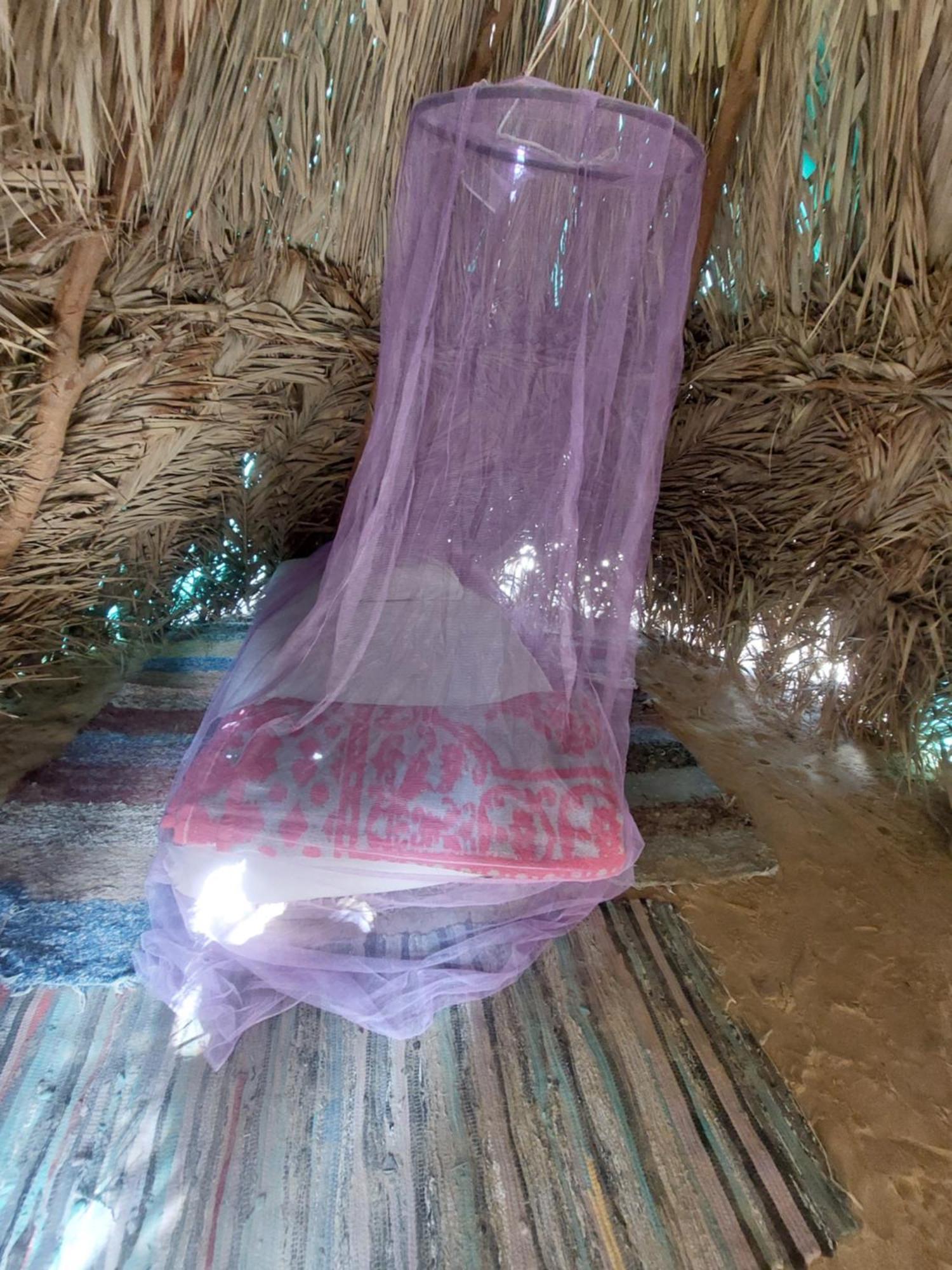 Forest Camp Siwa - كامب الغابة Siwa Oasis Esterno foto