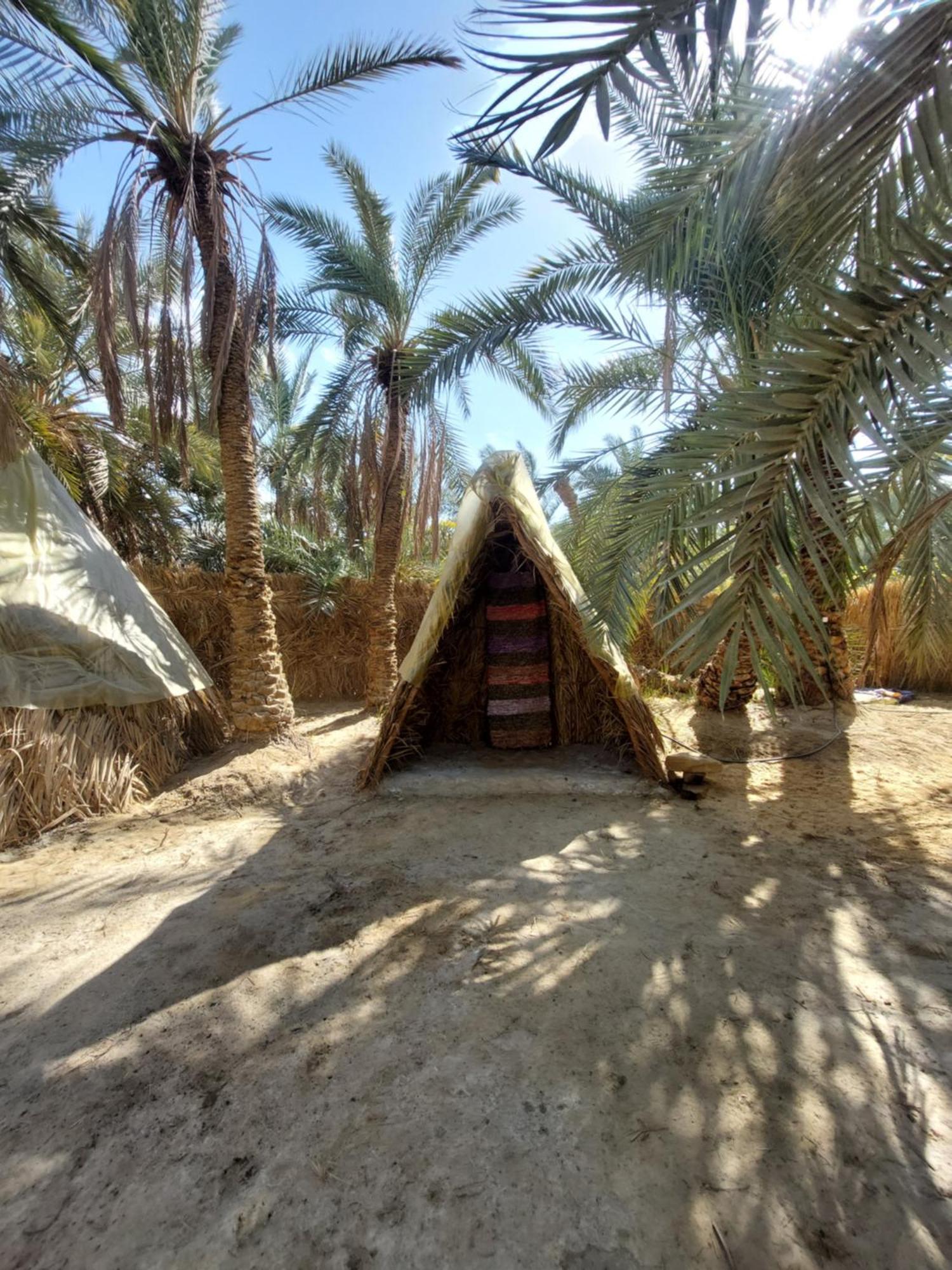 Forest Camp Siwa - كامب الغابة Siwa Oasis Esterno foto