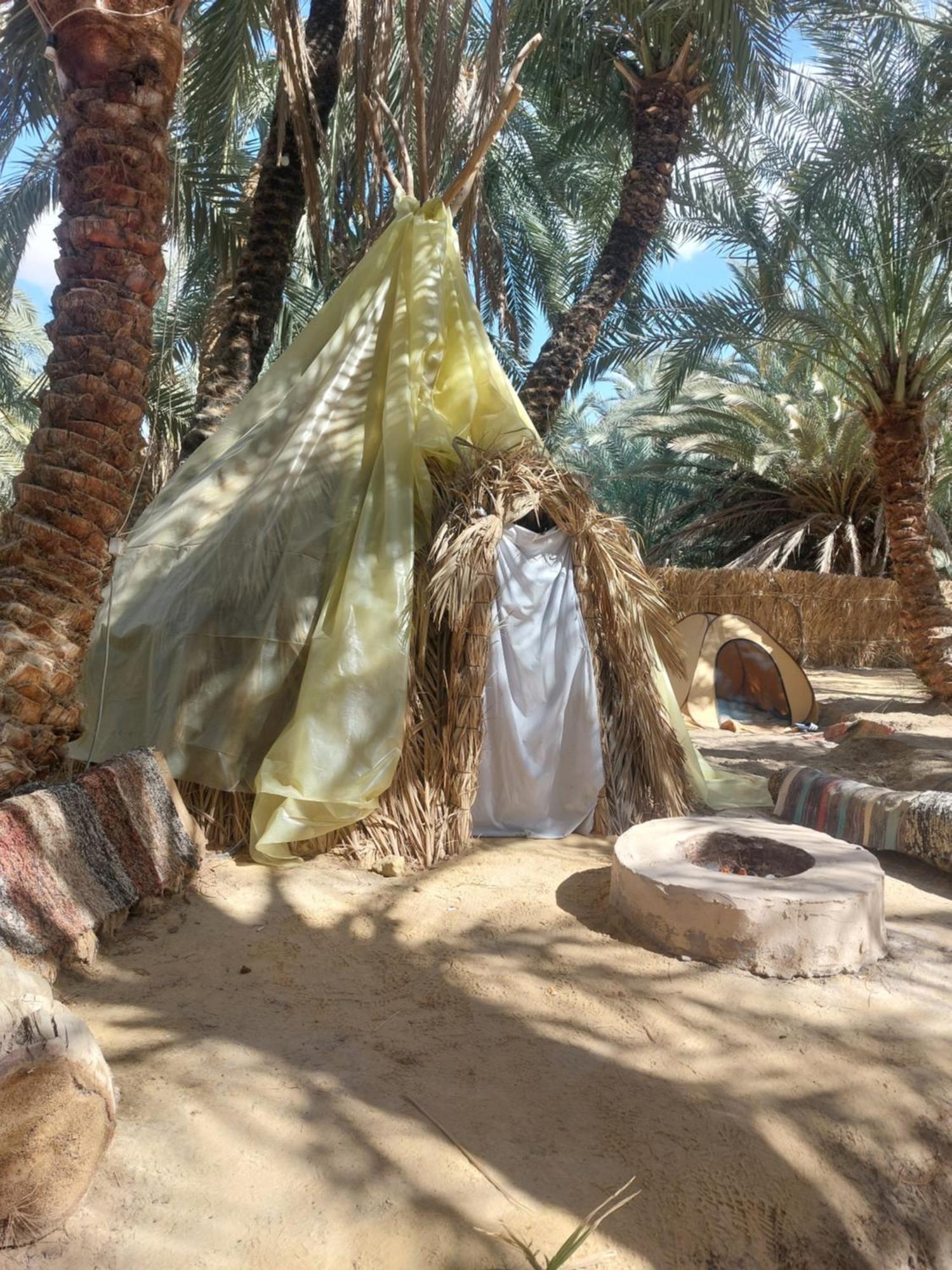 Forest Camp Siwa - كامب الغابة Siwa Oasis Esterno foto