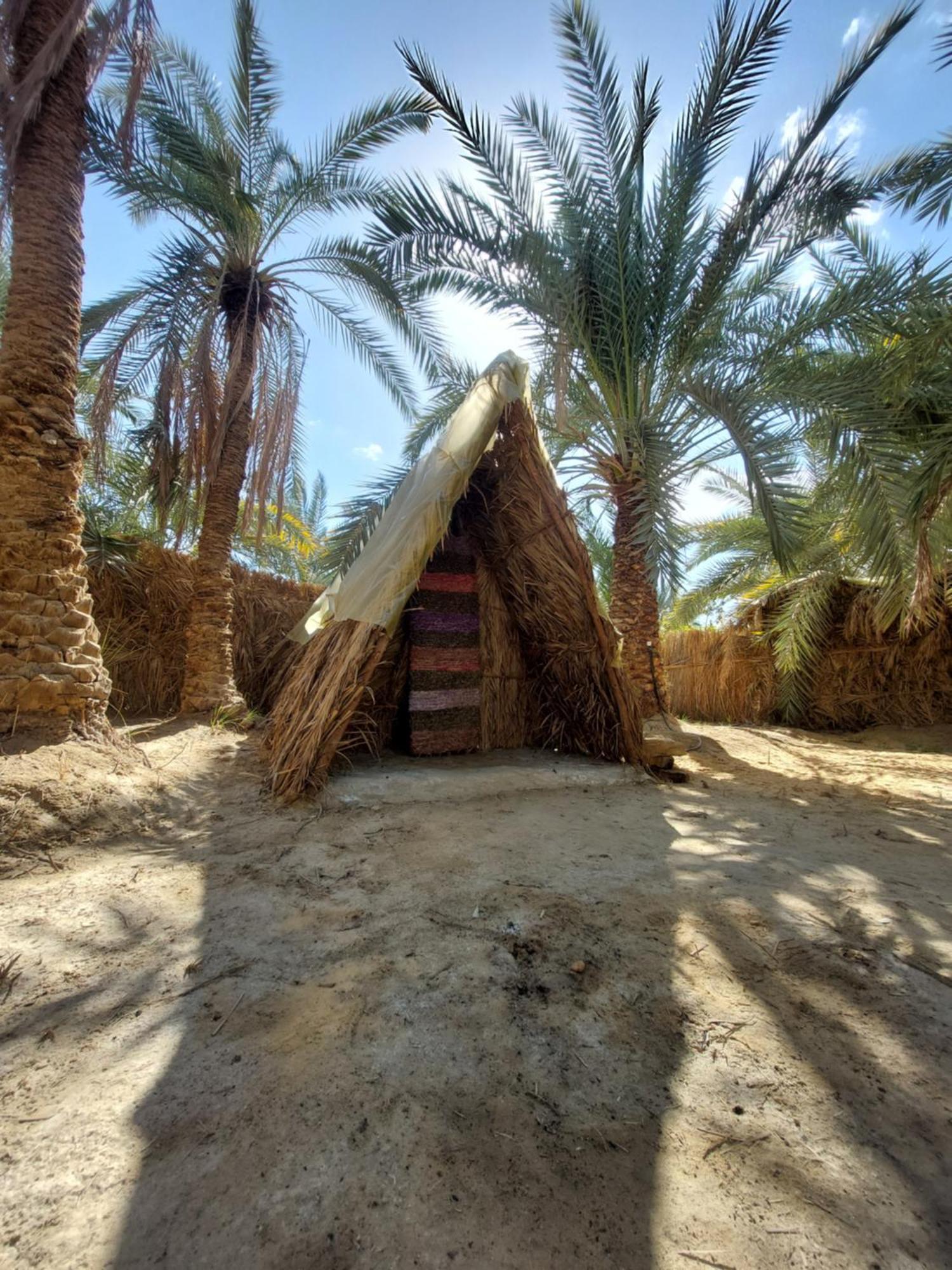 Forest Camp Siwa - كامب الغابة Siwa Oasis Esterno foto