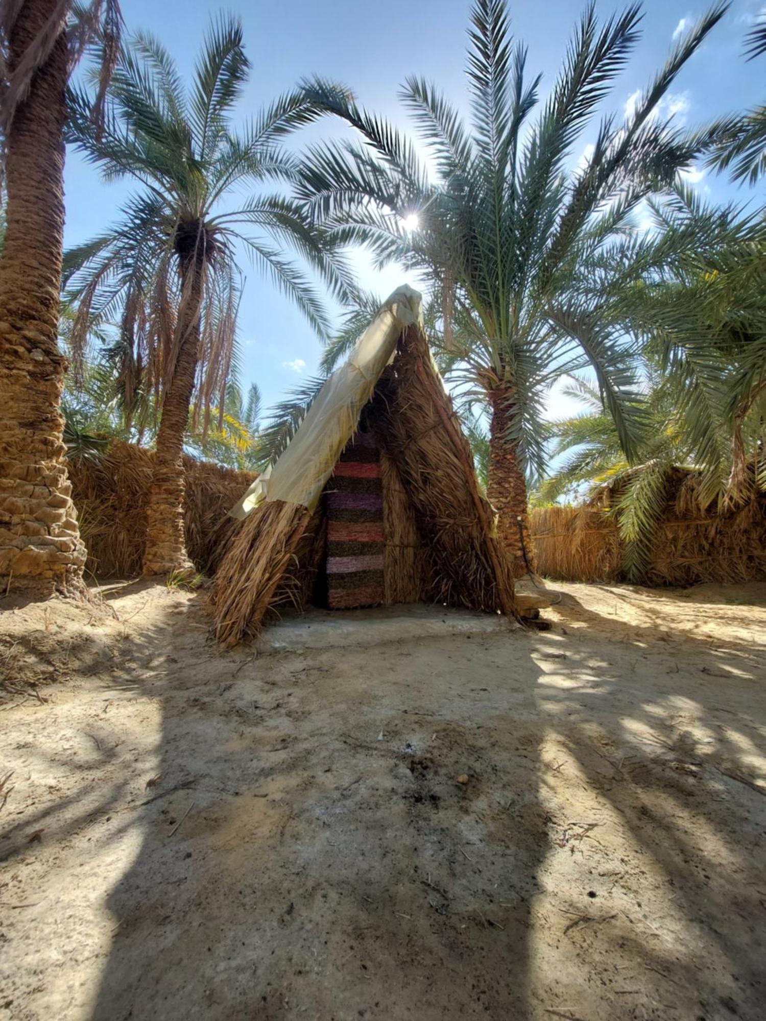 Forest Camp Siwa - كامب الغابة Siwa Oasis Esterno foto