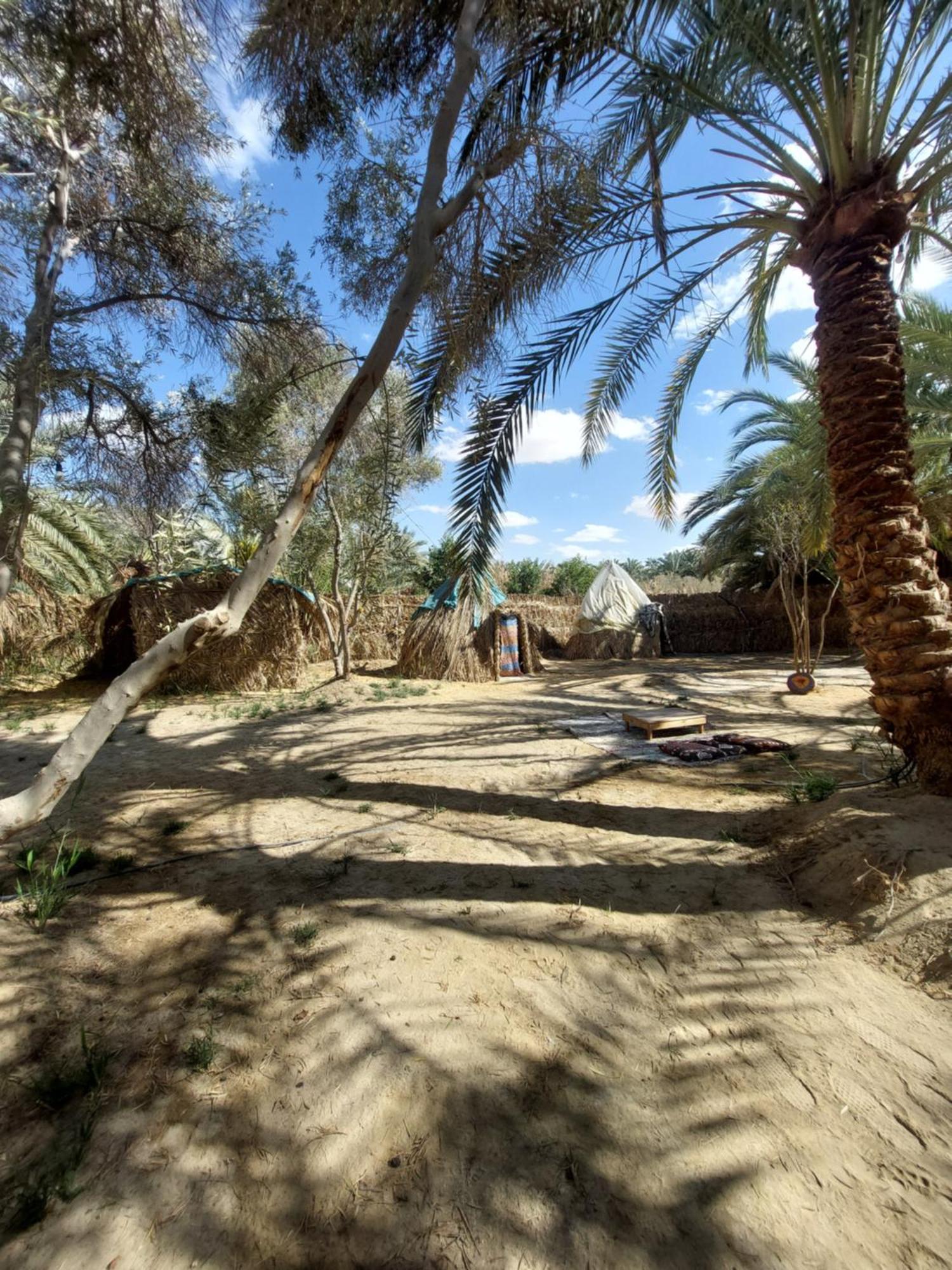 Forest Camp Siwa - كامب الغابة Siwa Oasis Esterno foto
