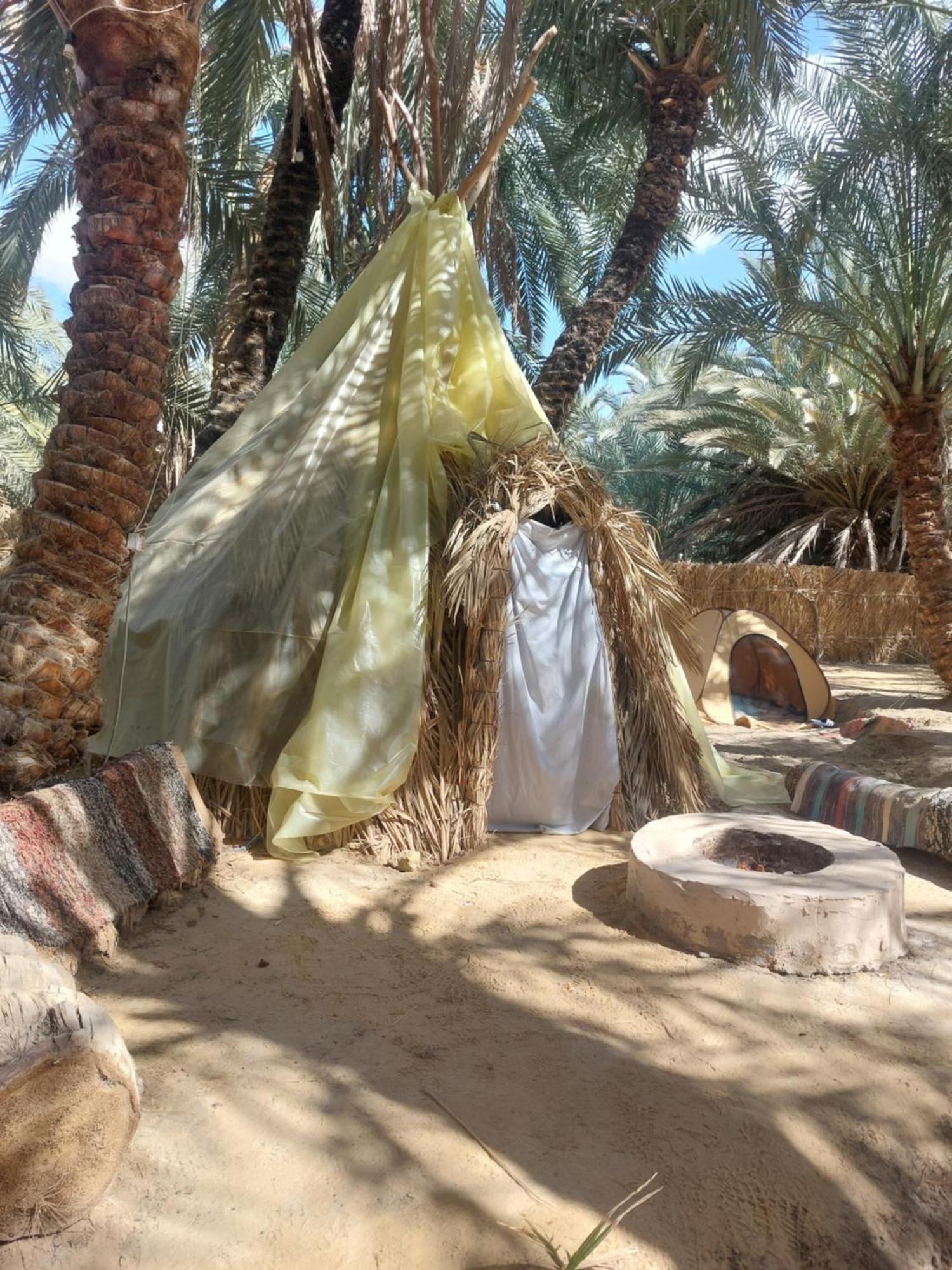 Forest Camp Siwa - كامب الغابة Siwa Oasis Esterno foto