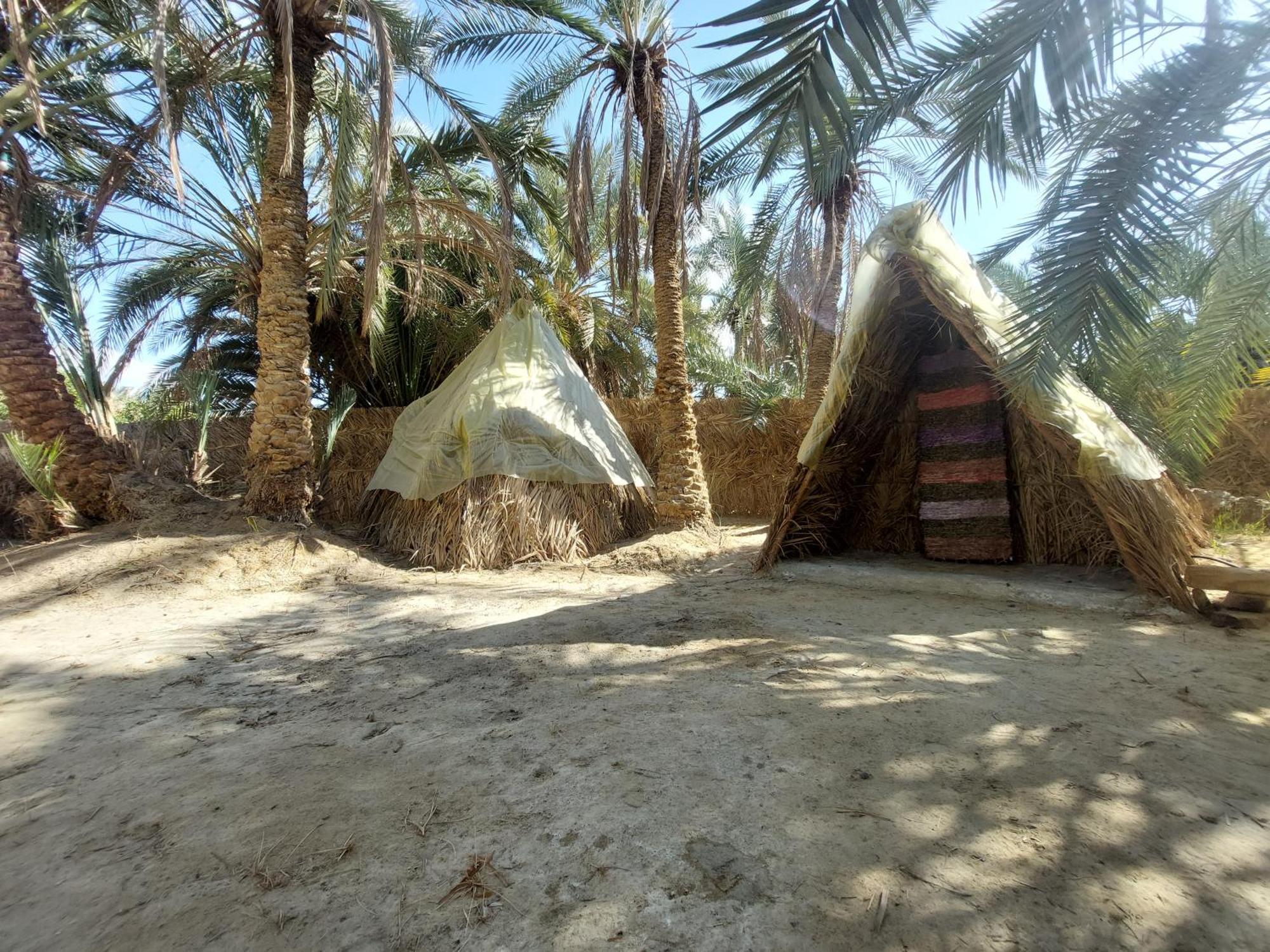 Forest Camp Siwa - كامب الغابة Siwa Oasis Esterno foto
