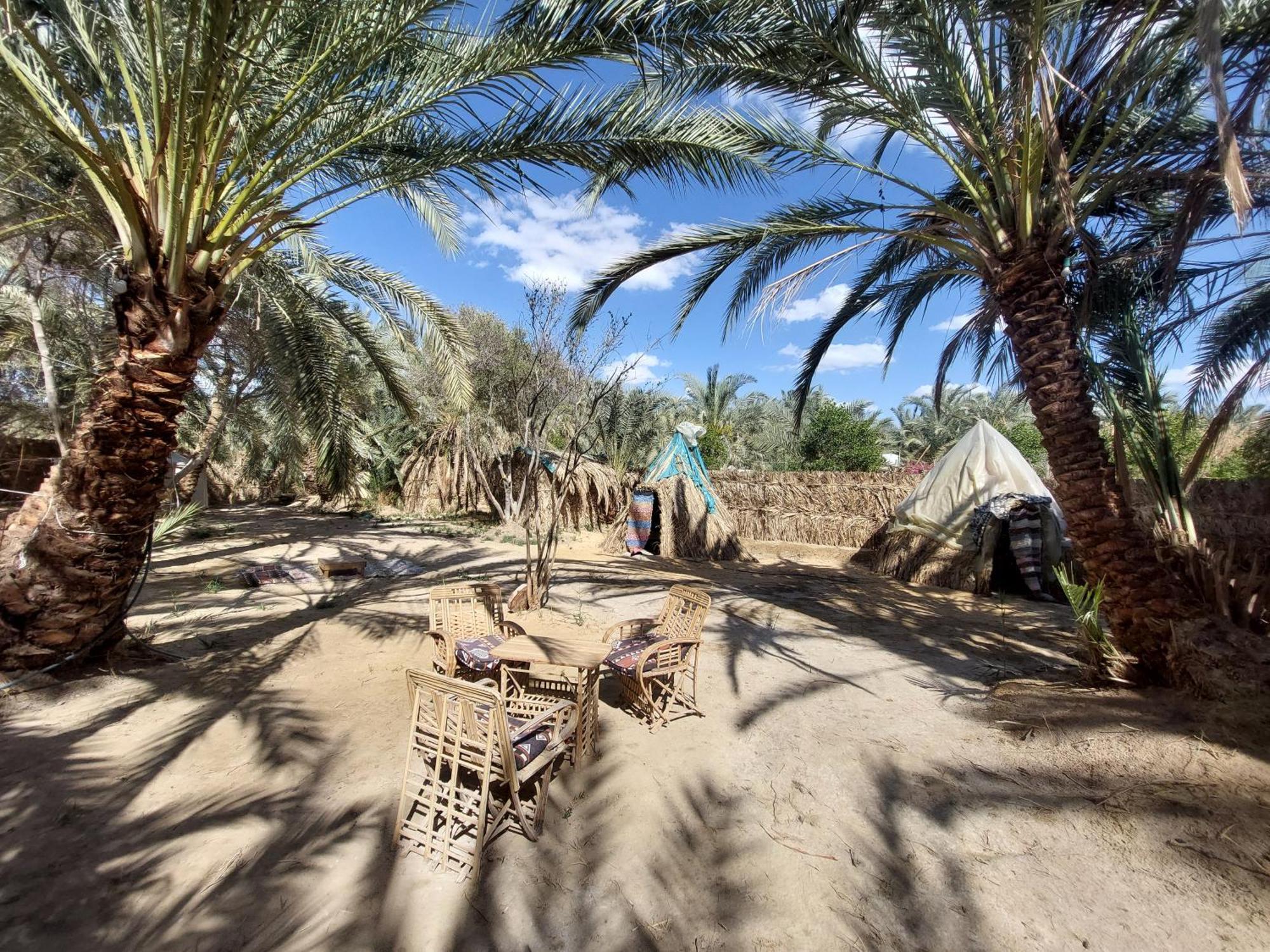Forest Camp Siwa - كامب الغابة Siwa Oasis Esterno foto