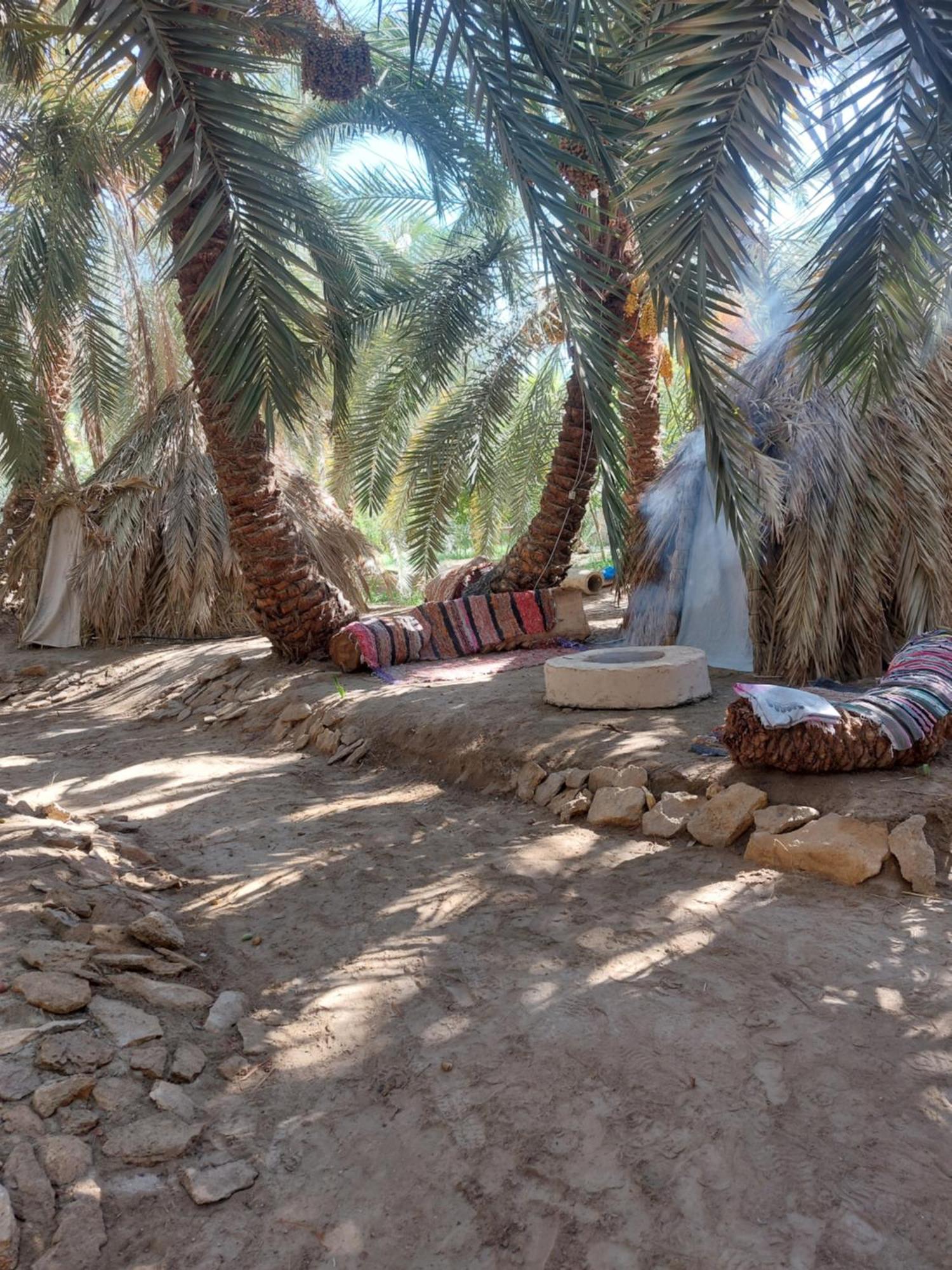 Forest Camp Siwa - كامب الغابة Siwa Oasis Esterno foto