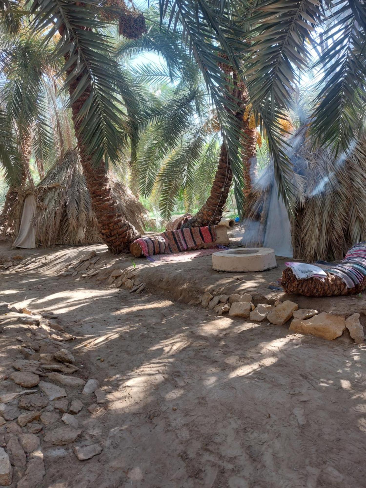 Forest Camp Siwa - كامب الغابة Siwa Oasis Esterno foto