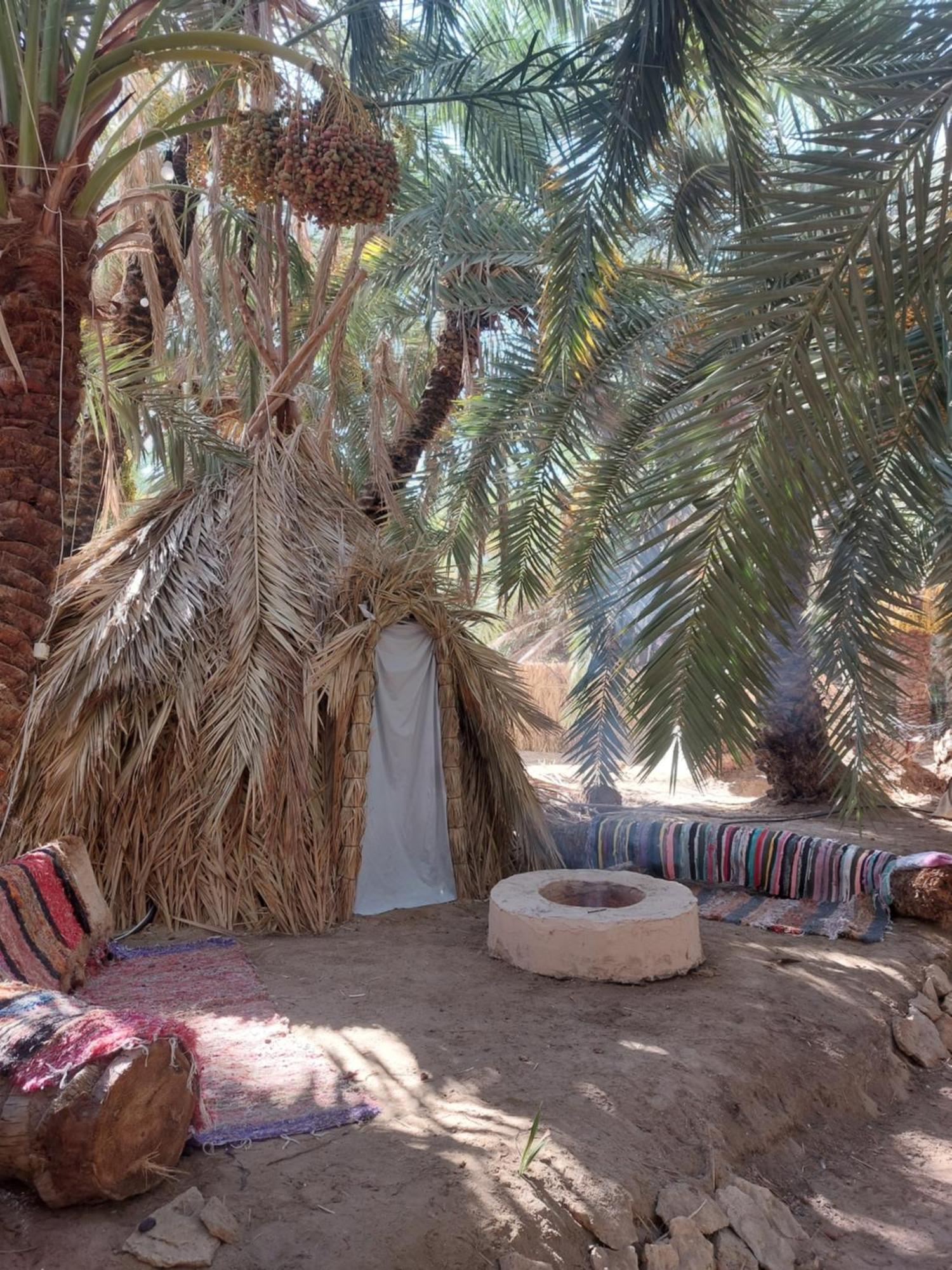 Forest Camp Siwa - كامب الغابة Siwa Oasis Esterno foto