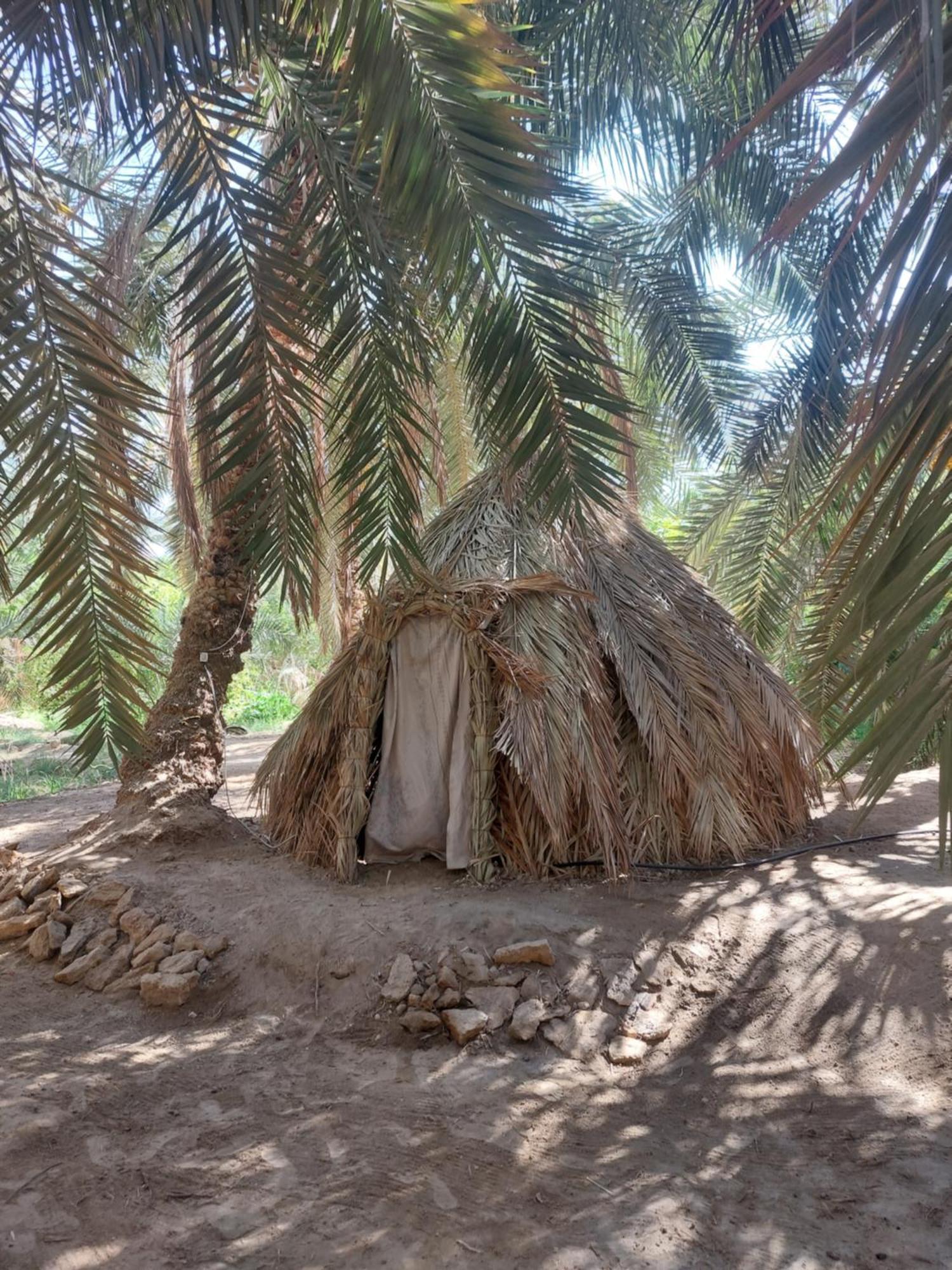 Forest Camp Siwa - كامب الغابة Siwa Oasis Esterno foto