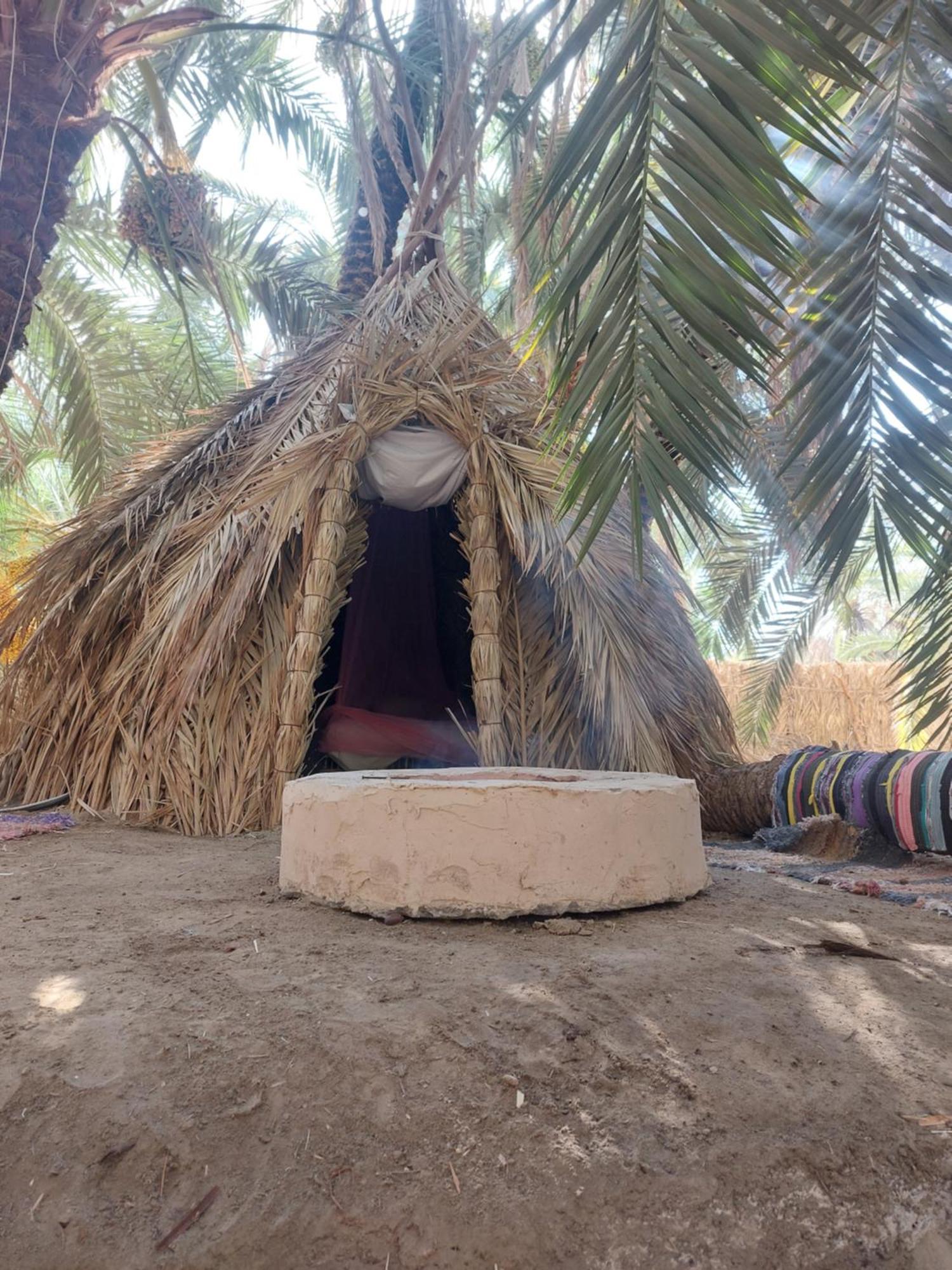 Forest Camp Siwa - كامب الغابة Siwa Oasis Esterno foto