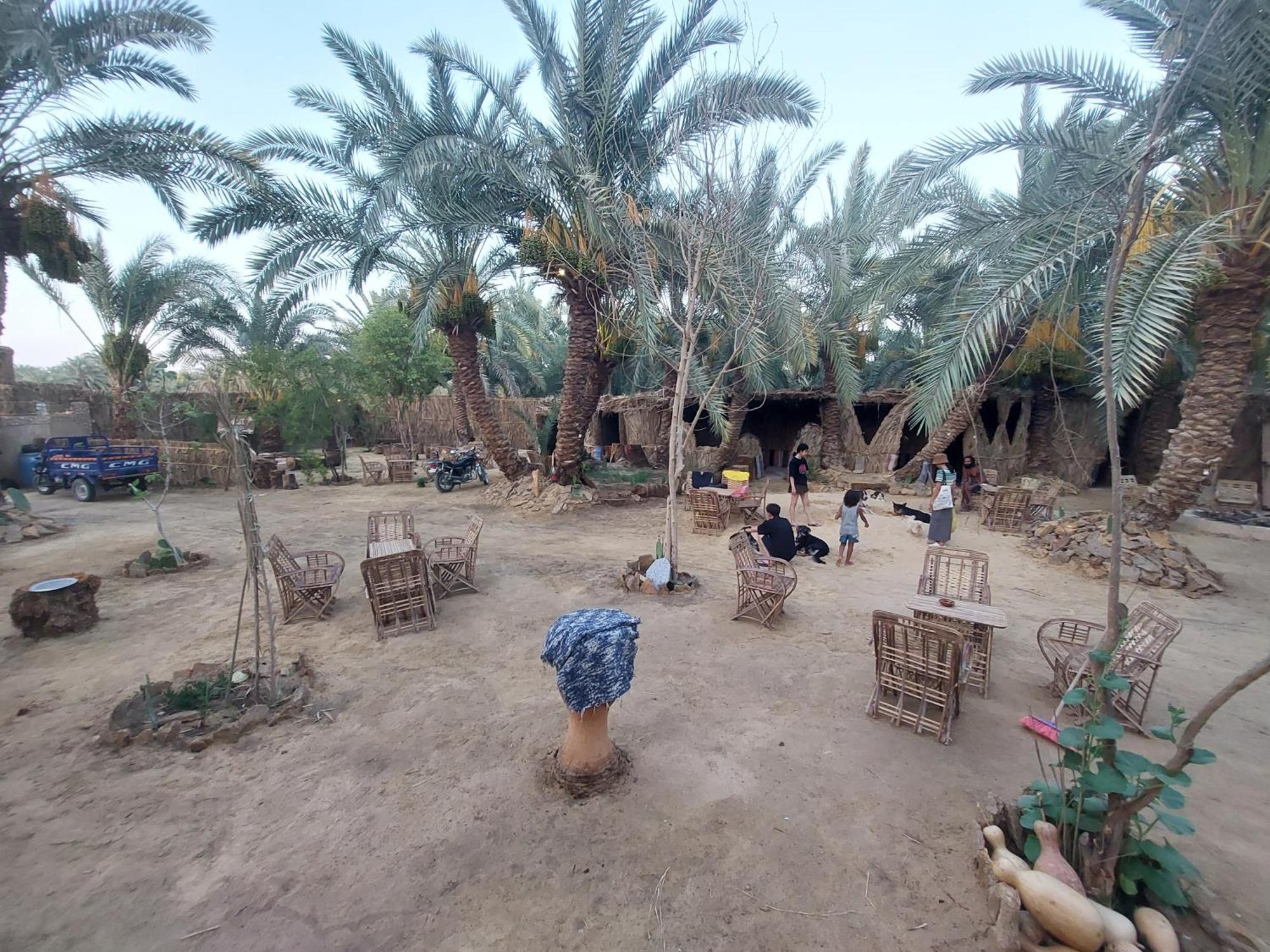 Forest Camp Siwa - كامب الغابة Siwa Oasis Esterno foto