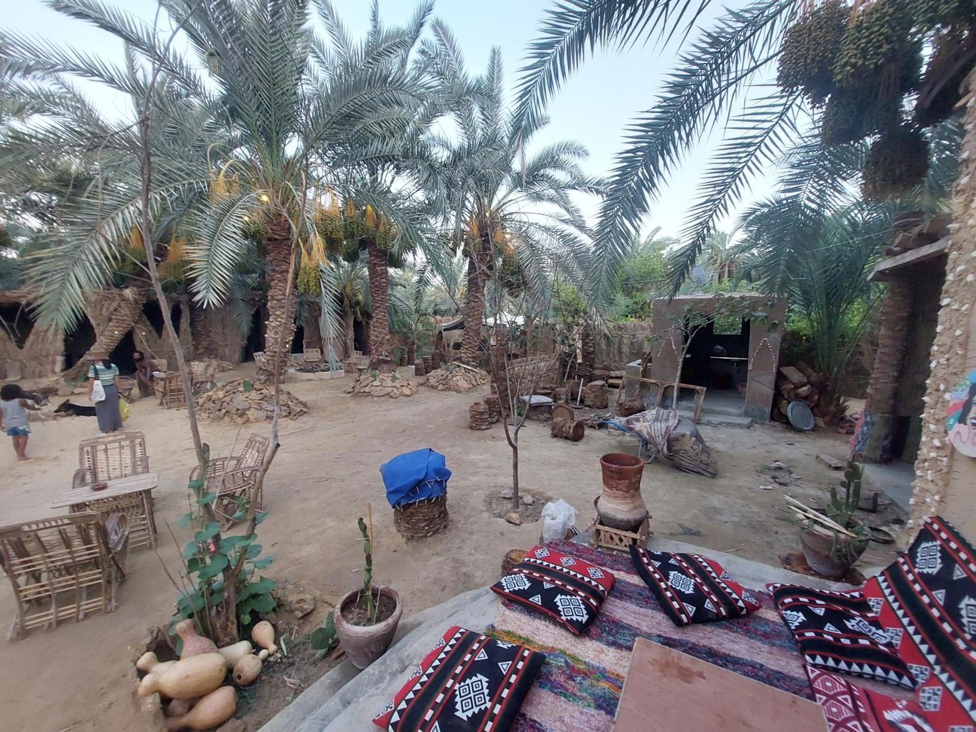 Forest Camp Siwa - كامب الغابة Siwa Oasis Esterno foto