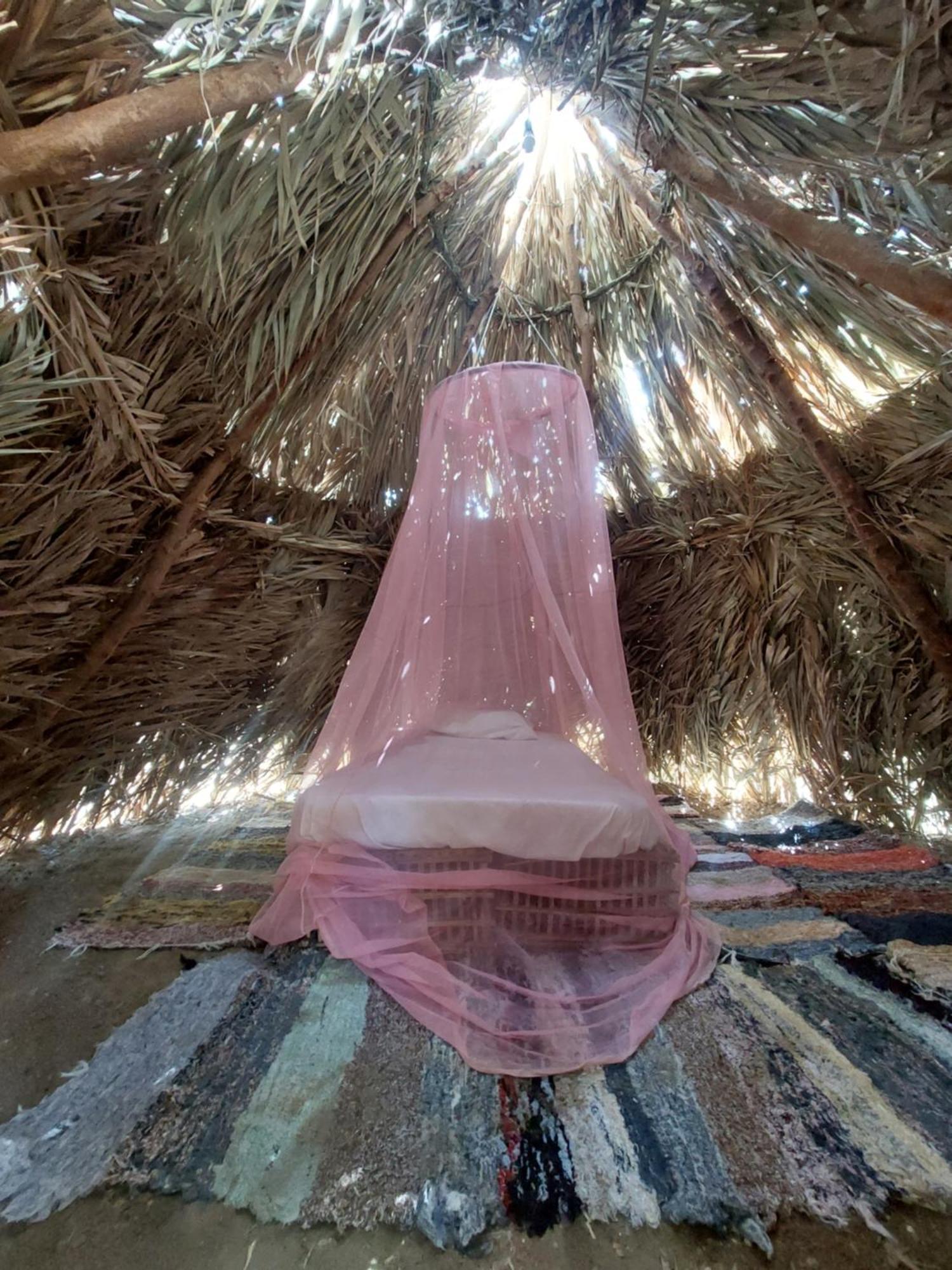 Forest Camp Siwa - كامب الغابة Siwa Oasis Esterno foto