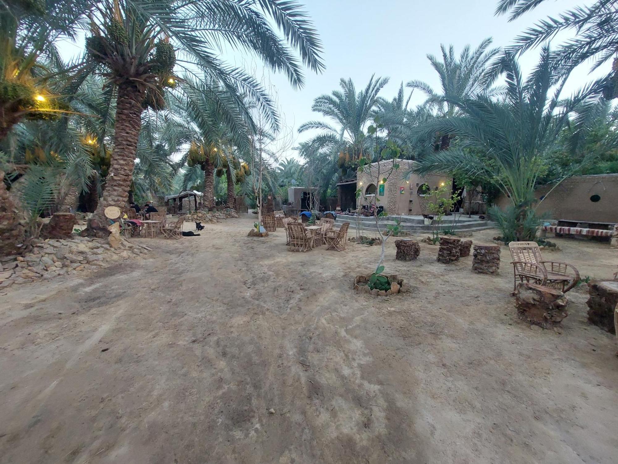 Forest Camp Siwa - كامب الغابة Siwa Oasis Esterno foto