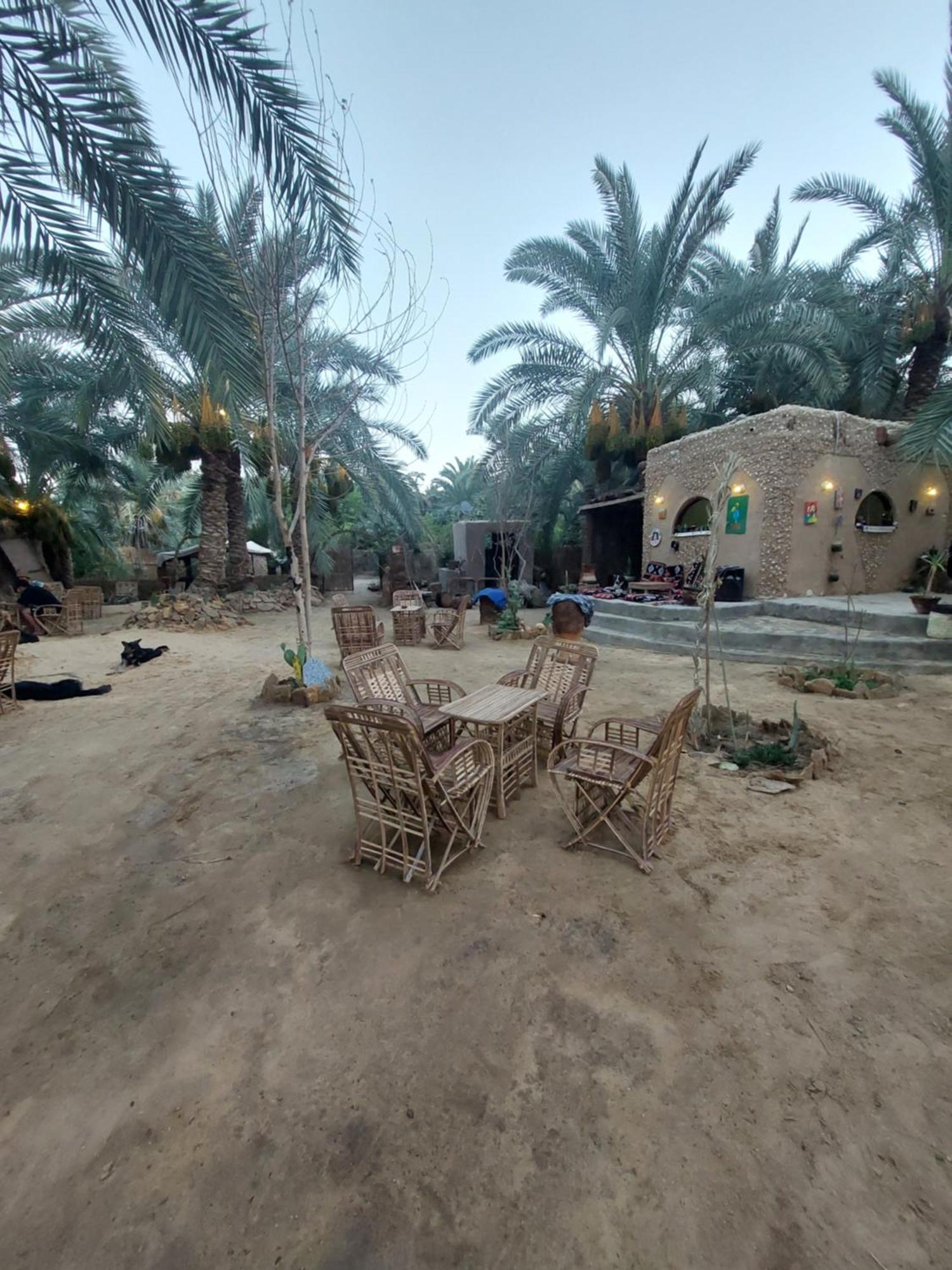 Forest Camp Siwa - كامب الغابة Siwa Oasis Esterno foto