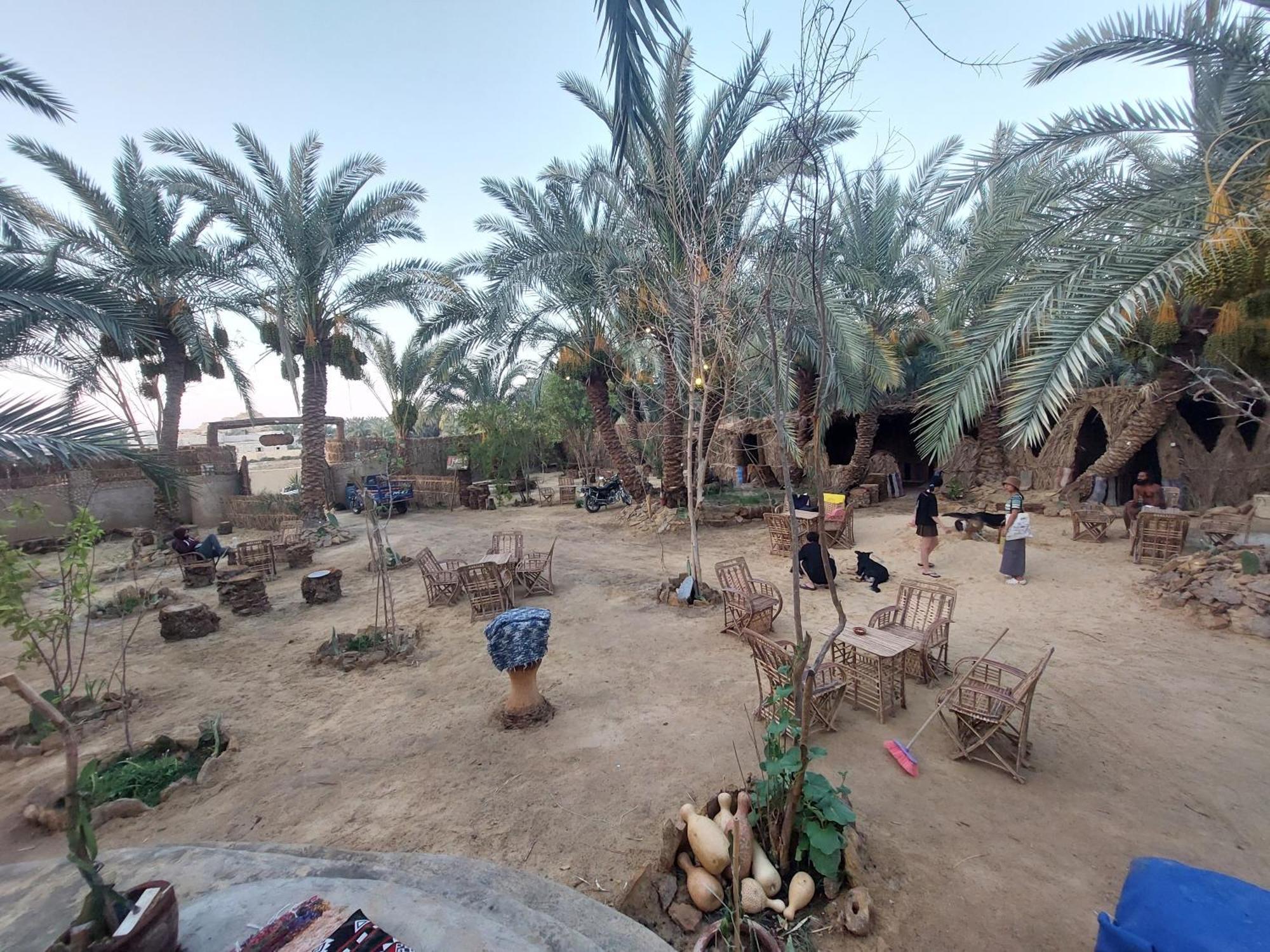 Forest Camp Siwa - كامب الغابة Siwa Oasis Esterno foto