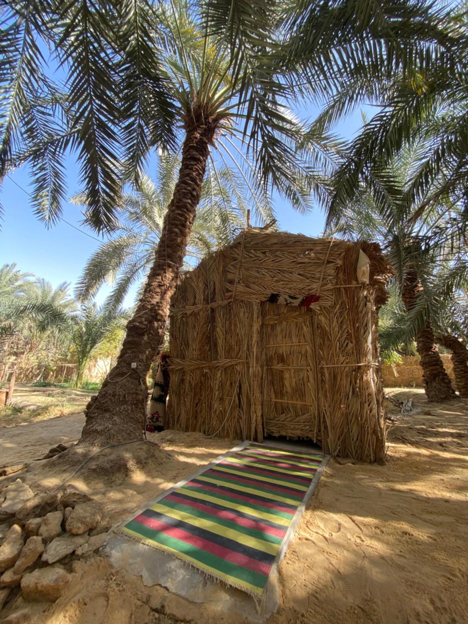 Forest Camp Siwa - كامب الغابة Siwa Oasis Esterno foto