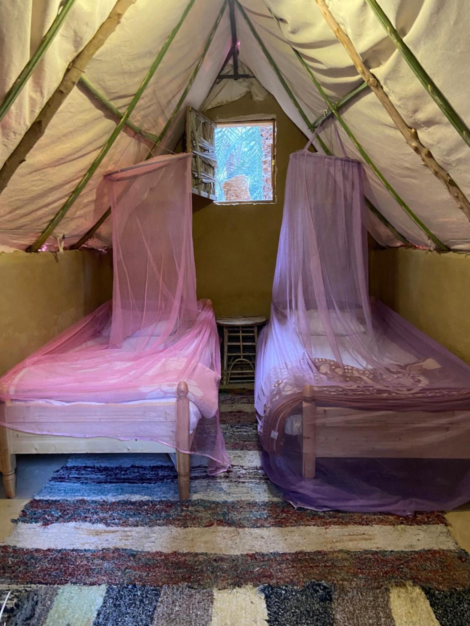 Forest Camp Siwa - كامب الغابة Siwa Oasis Esterno foto