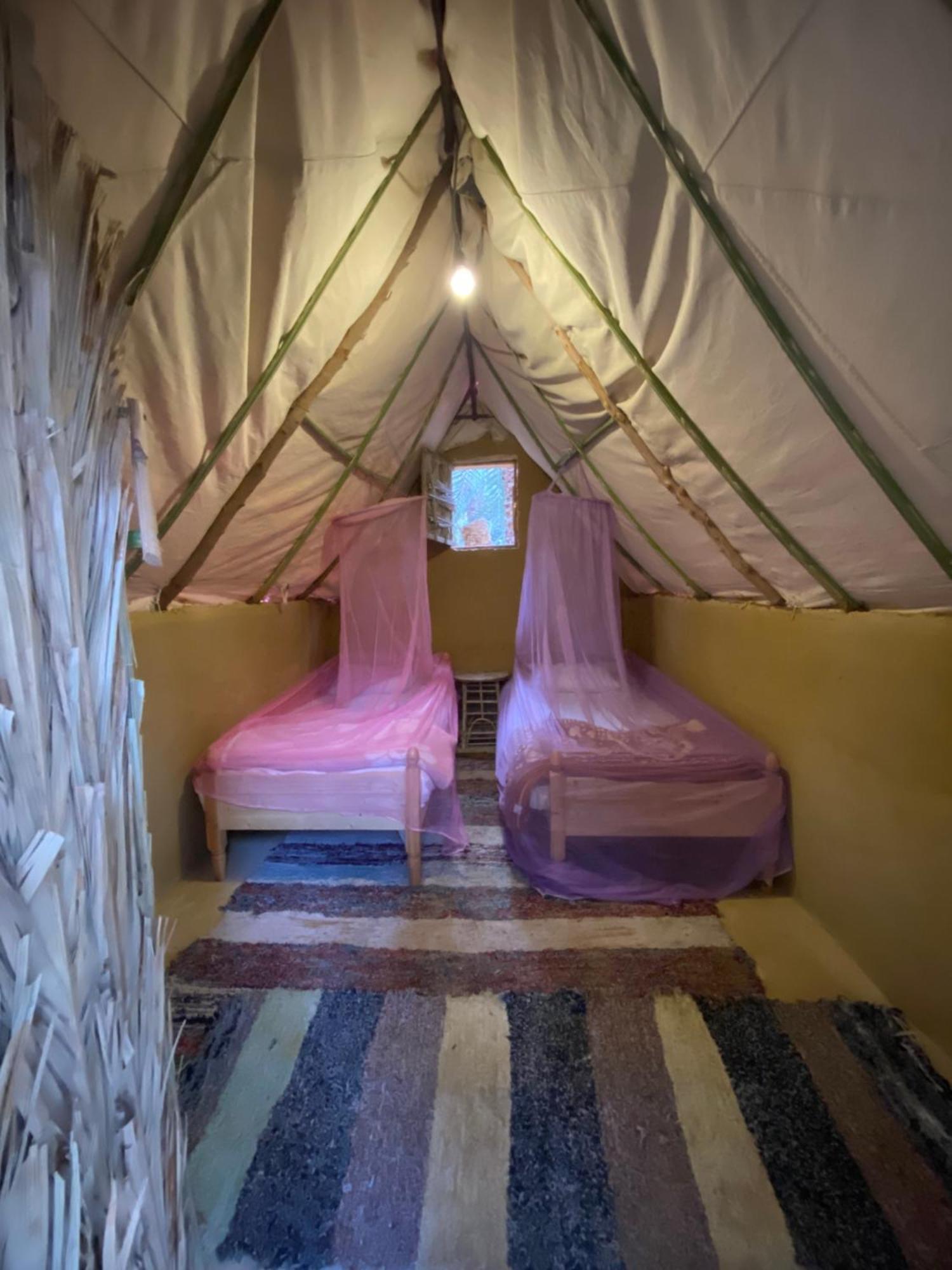 Forest Camp Siwa - كامب الغابة Siwa Oasis Esterno foto