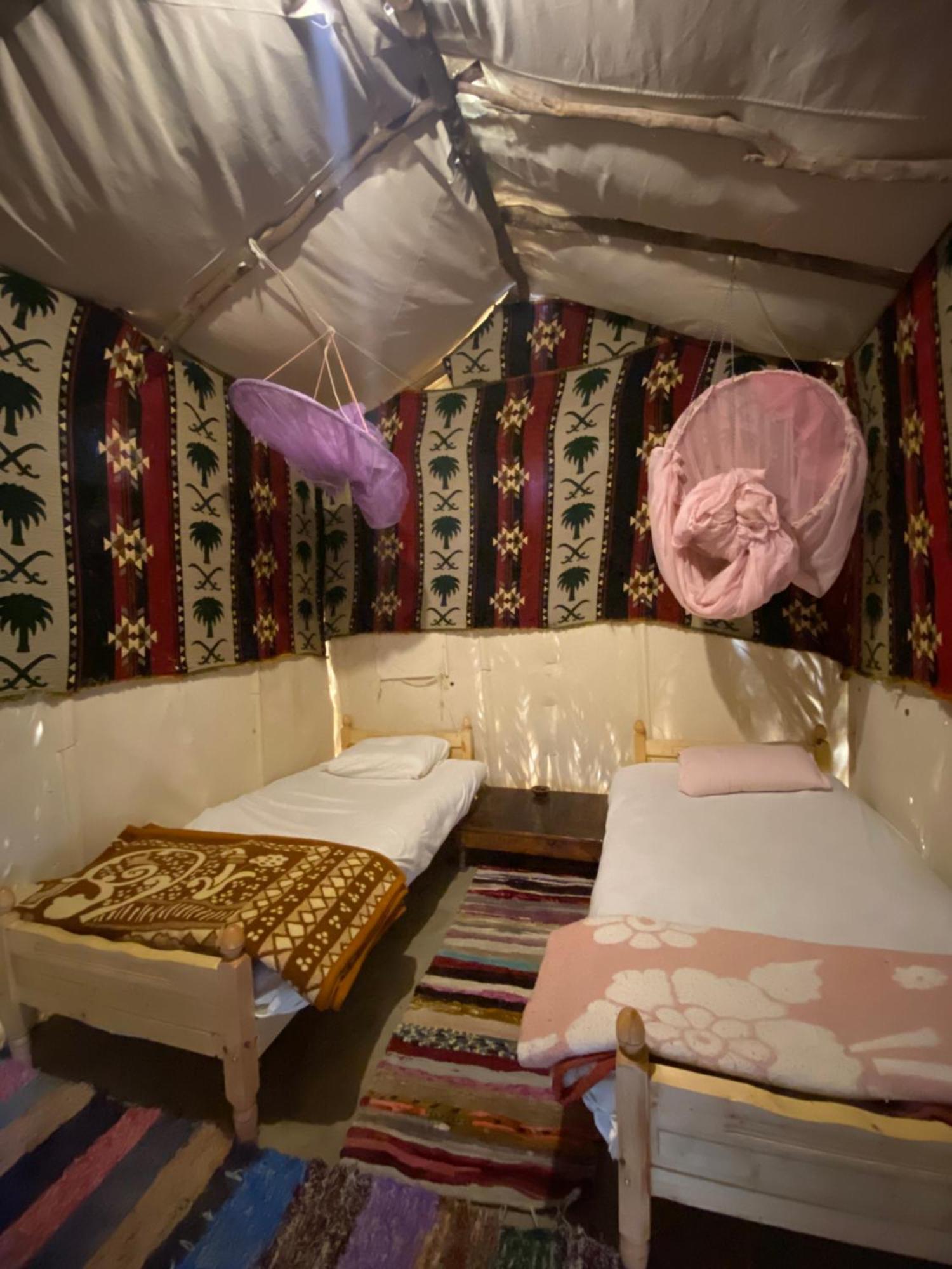 Forest Camp Siwa - كامب الغابة Siwa Oasis Esterno foto