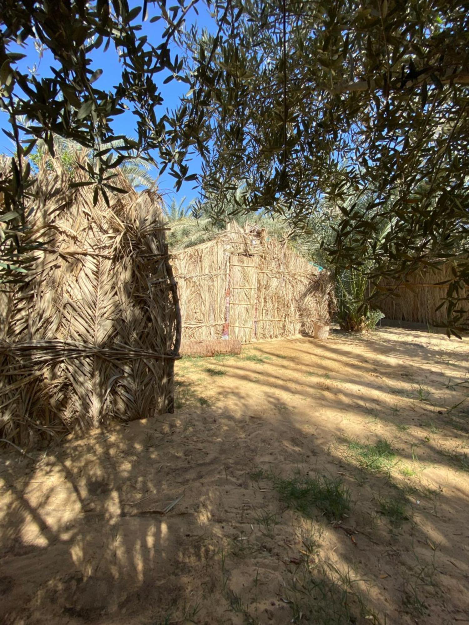 Forest Camp Siwa - كامب الغابة Siwa Oasis Esterno foto