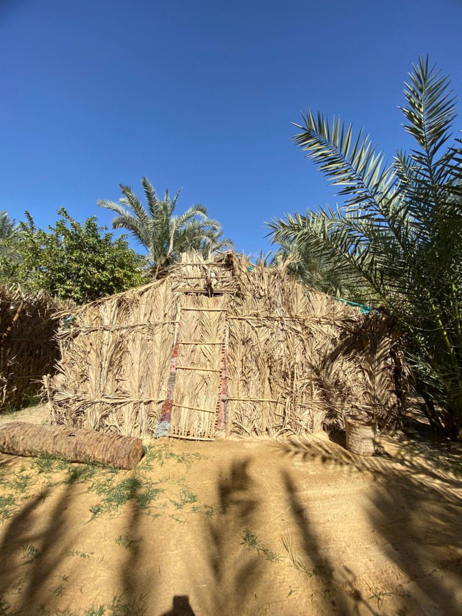 Forest Camp Siwa - كامب الغابة Siwa Oasis Esterno foto