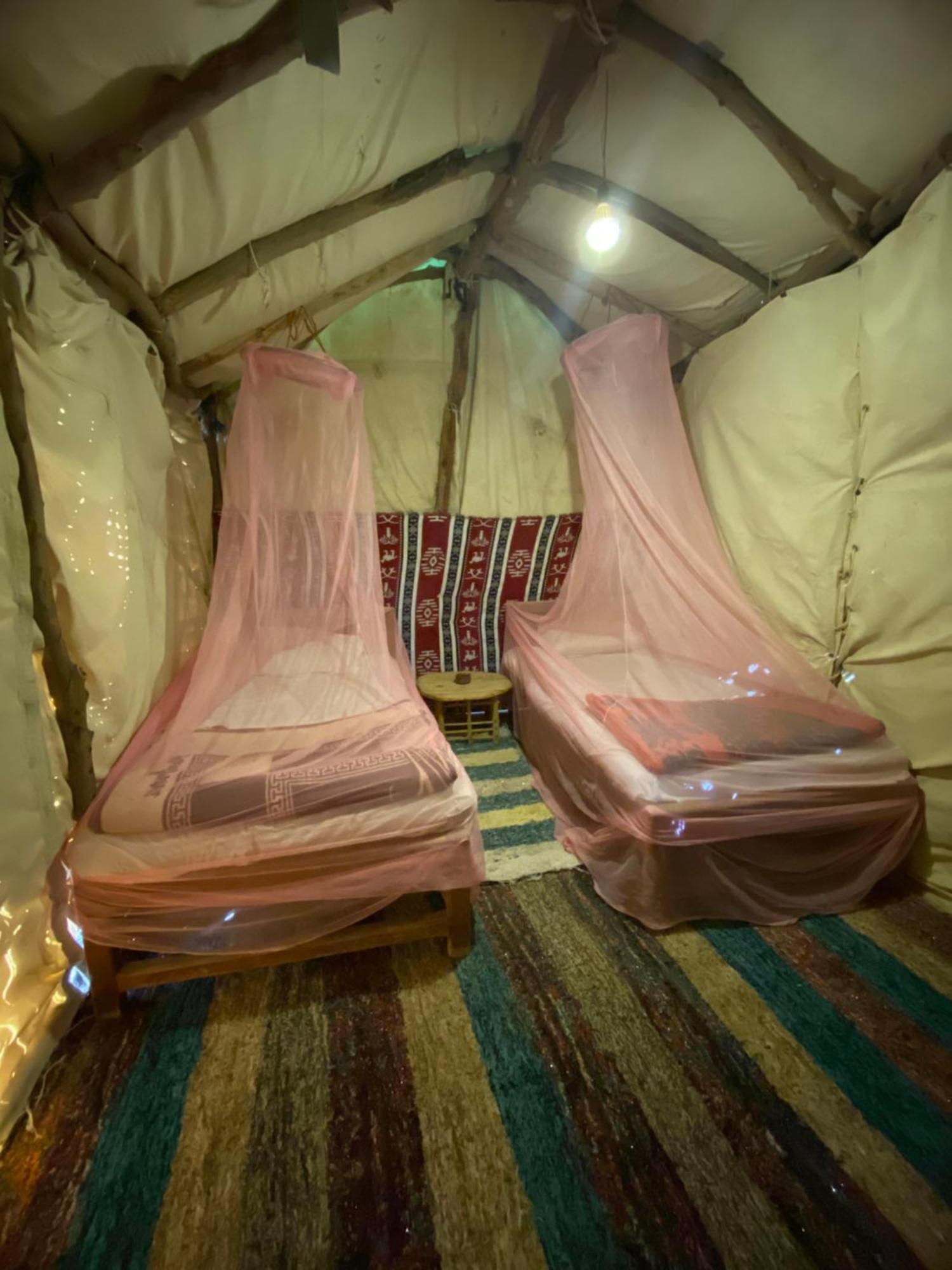 Forest Camp Siwa - كامب الغابة Siwa Oasis Esterno foto