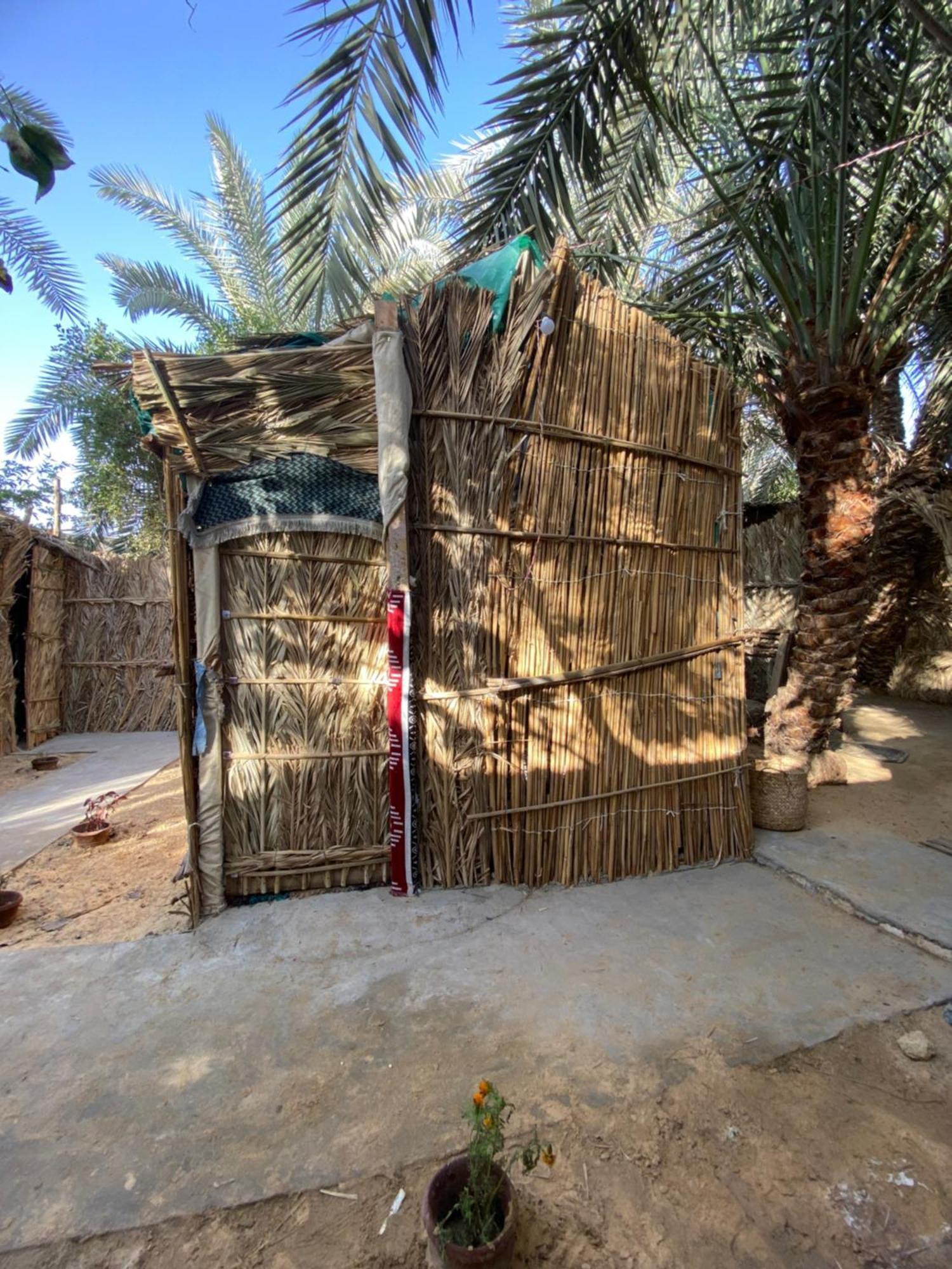 Forest Camp Siwa - كامب الغابة Siwa Oasis Esterno foto